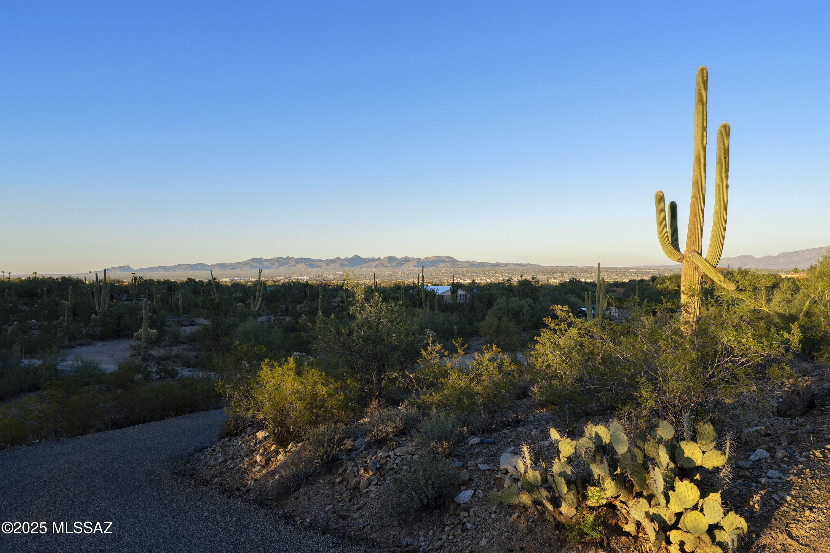 6700 W Calle De Mi Jazmin