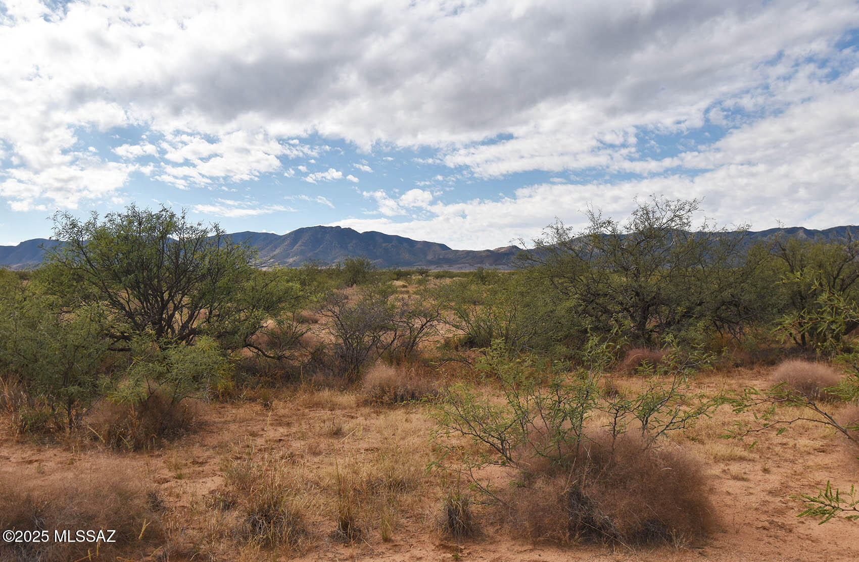 Arizona Sun Sites - Land