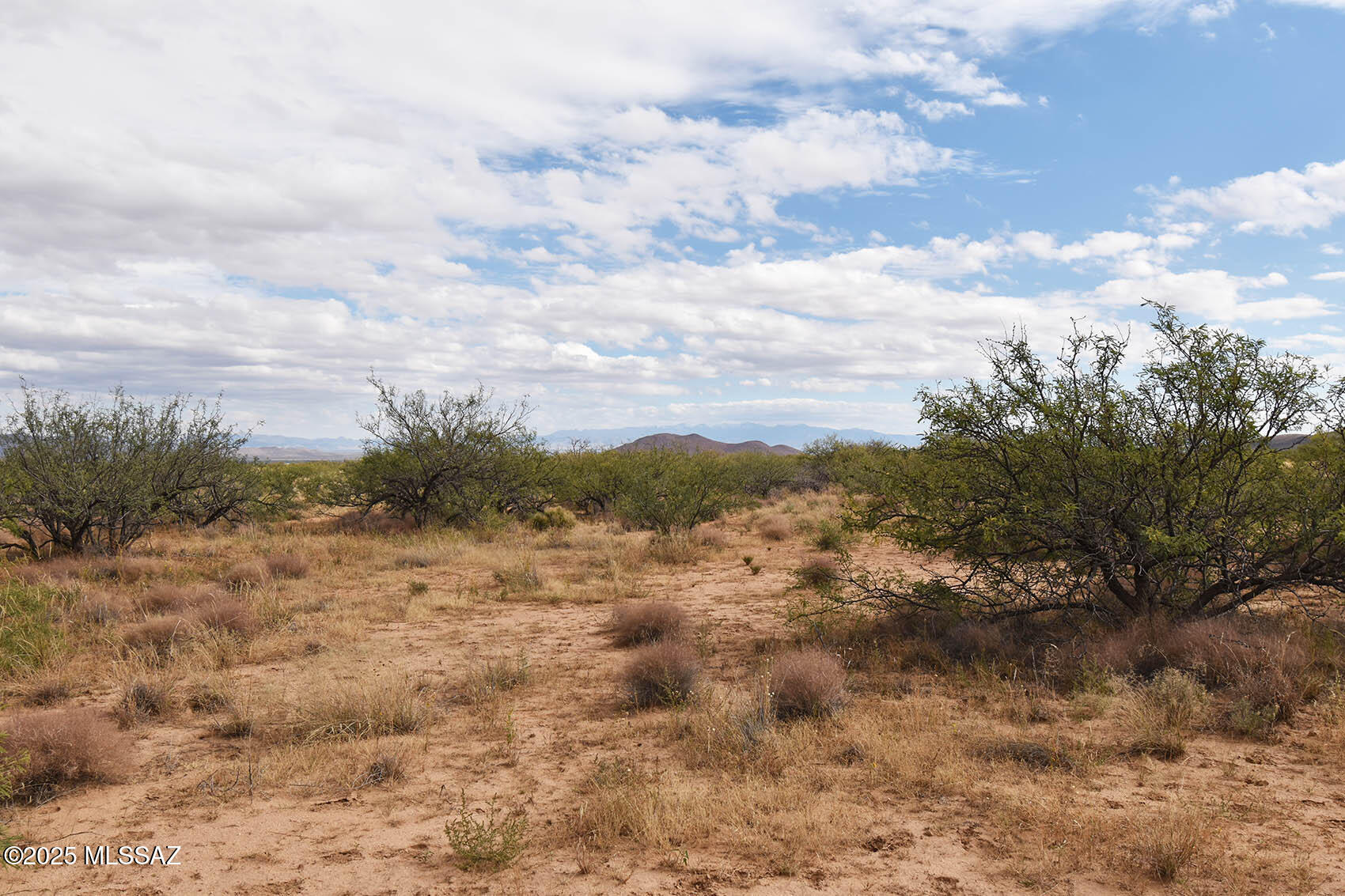 Arizona Sun Sites - Land