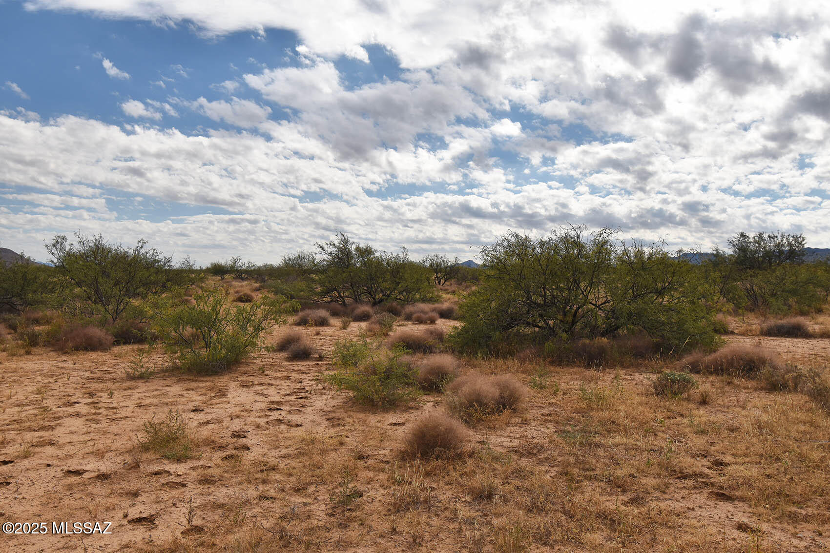 Arizona Sun Sites - Land