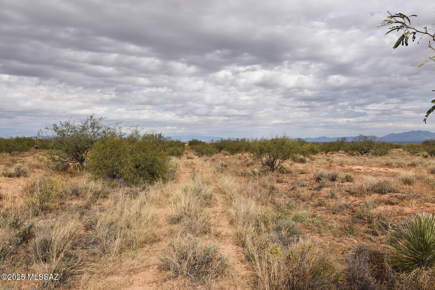 Arizona Sun Sites - Land