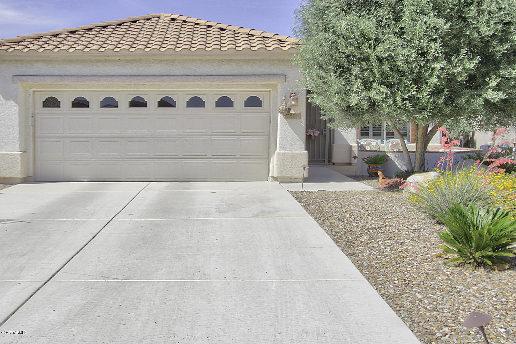 Continental Ranch Sunflower - Residential