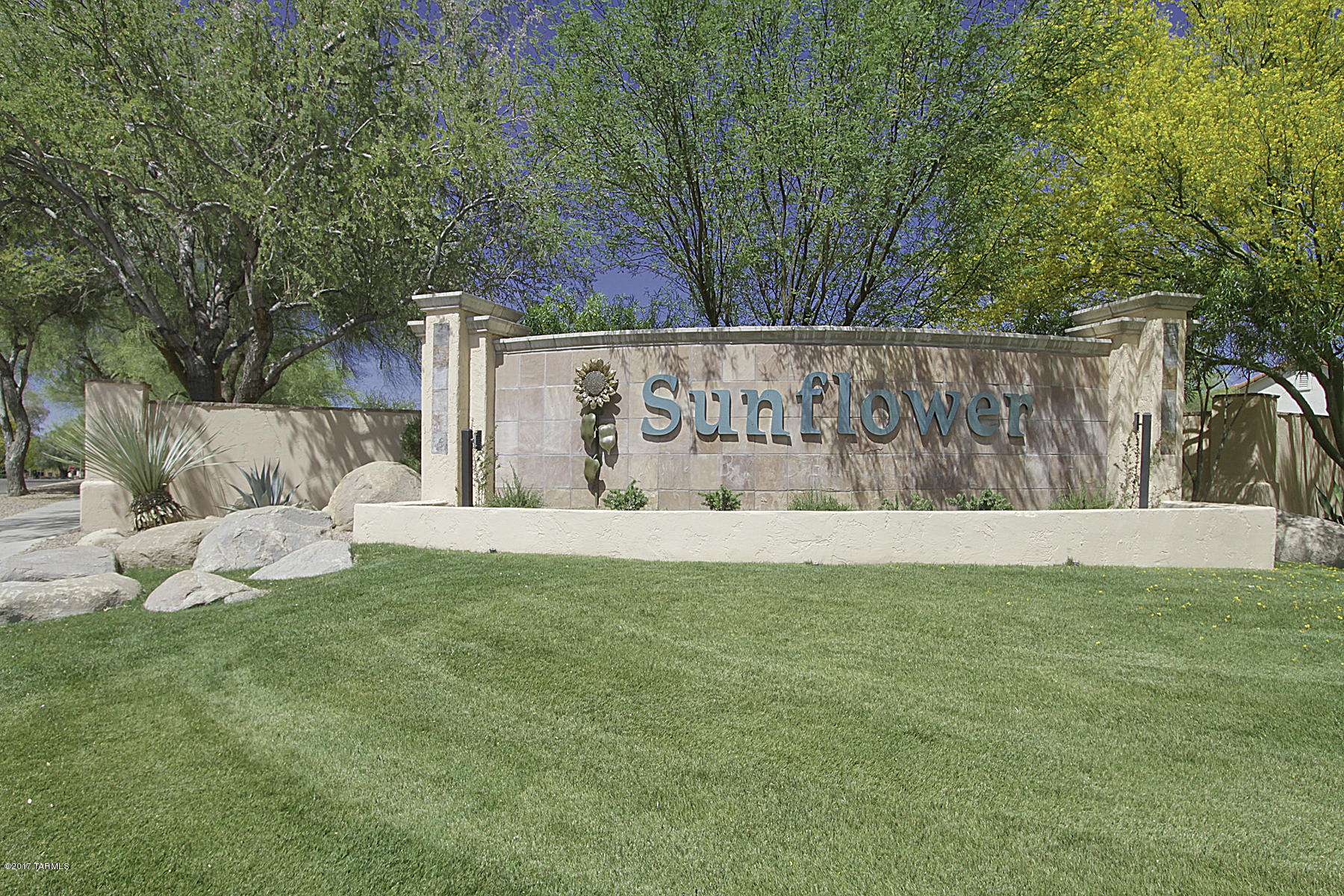 Continental Ranch Sunflower - Residential
