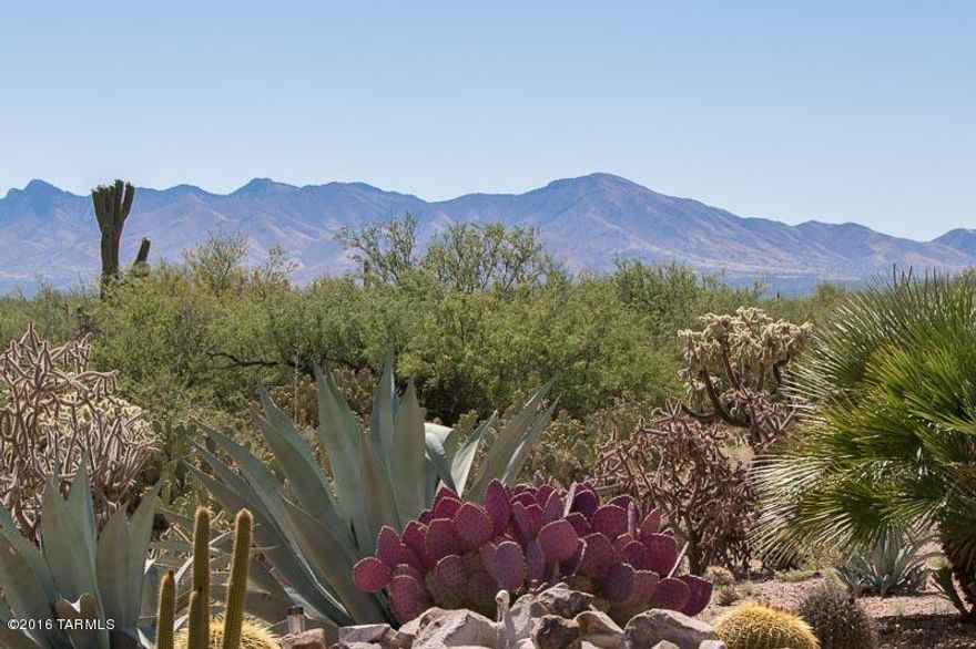 Gorgeous northeast facing rear patio that backs up to the University of Arizona Experimental Range and Majestic Mountain views. Upgraded Talavera model is easy to live in. Tons of upgraded that include bonus room with over-sized tile; wood floors in main living areas; large tile in bathrooms; stainless steel appliances, gas range, upgraded 42'' cherry cabinets in kitchen and laundry room with pull outs in most cabinets, laundry room sink and pull-out hampers, bump out bays in all the right places, surround sound, R/O system, extended garage with epoxy floor, storage cabinets, laundry sink. Outside space is a perfect spot for entertaining with a built in BBQ and water feature. Enjoy wildlife from your rear patio and the neighborhood from your over-sized front patio.