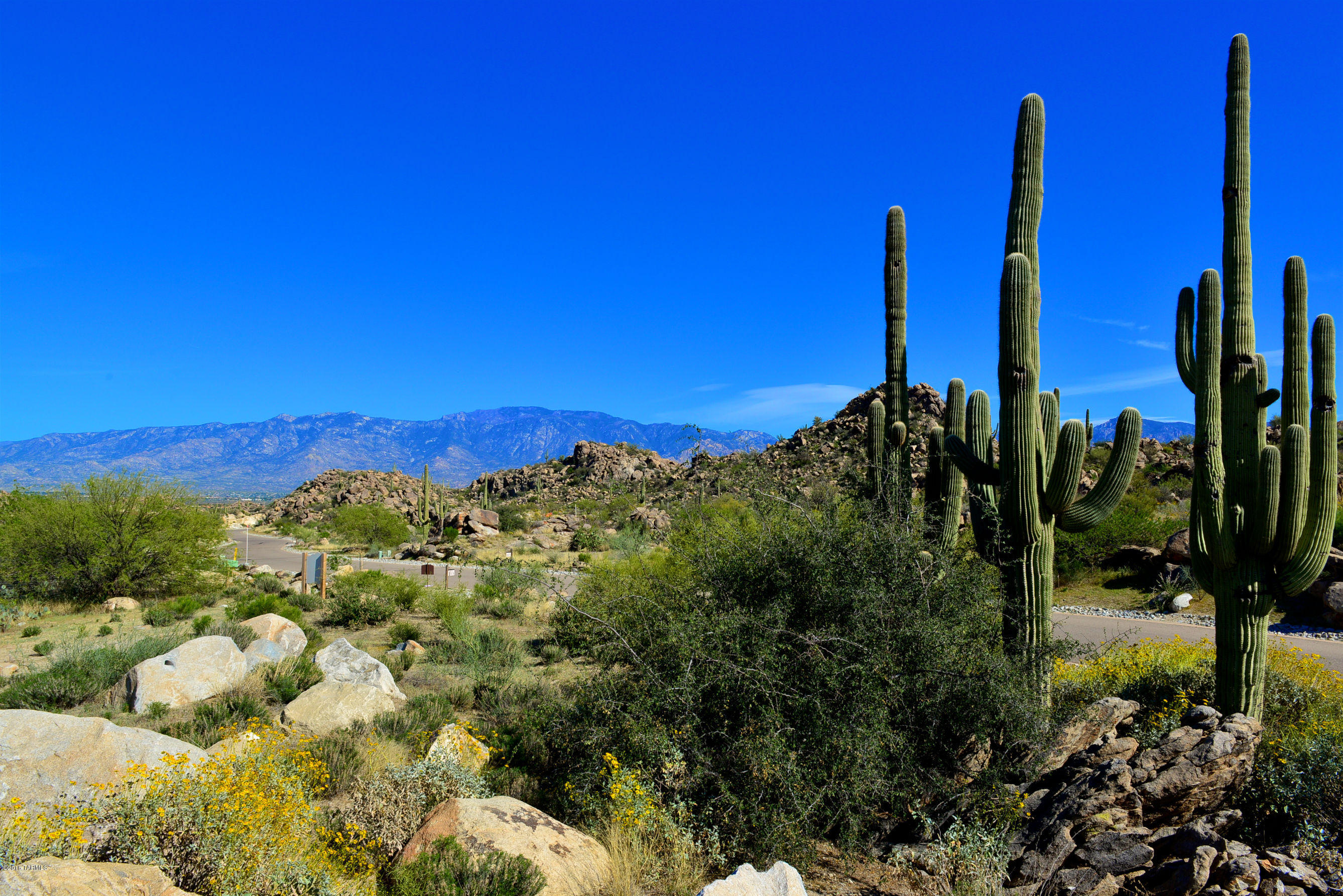 Stone Canyon IV - Residential