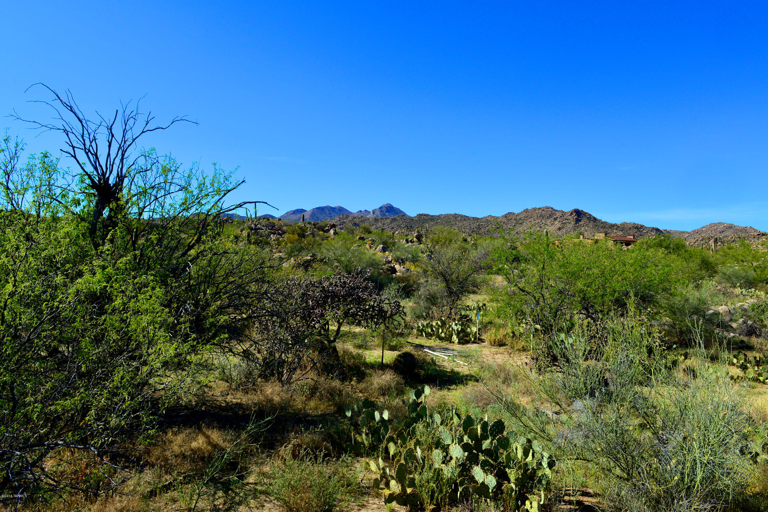 Stone Canyon IV - Residential