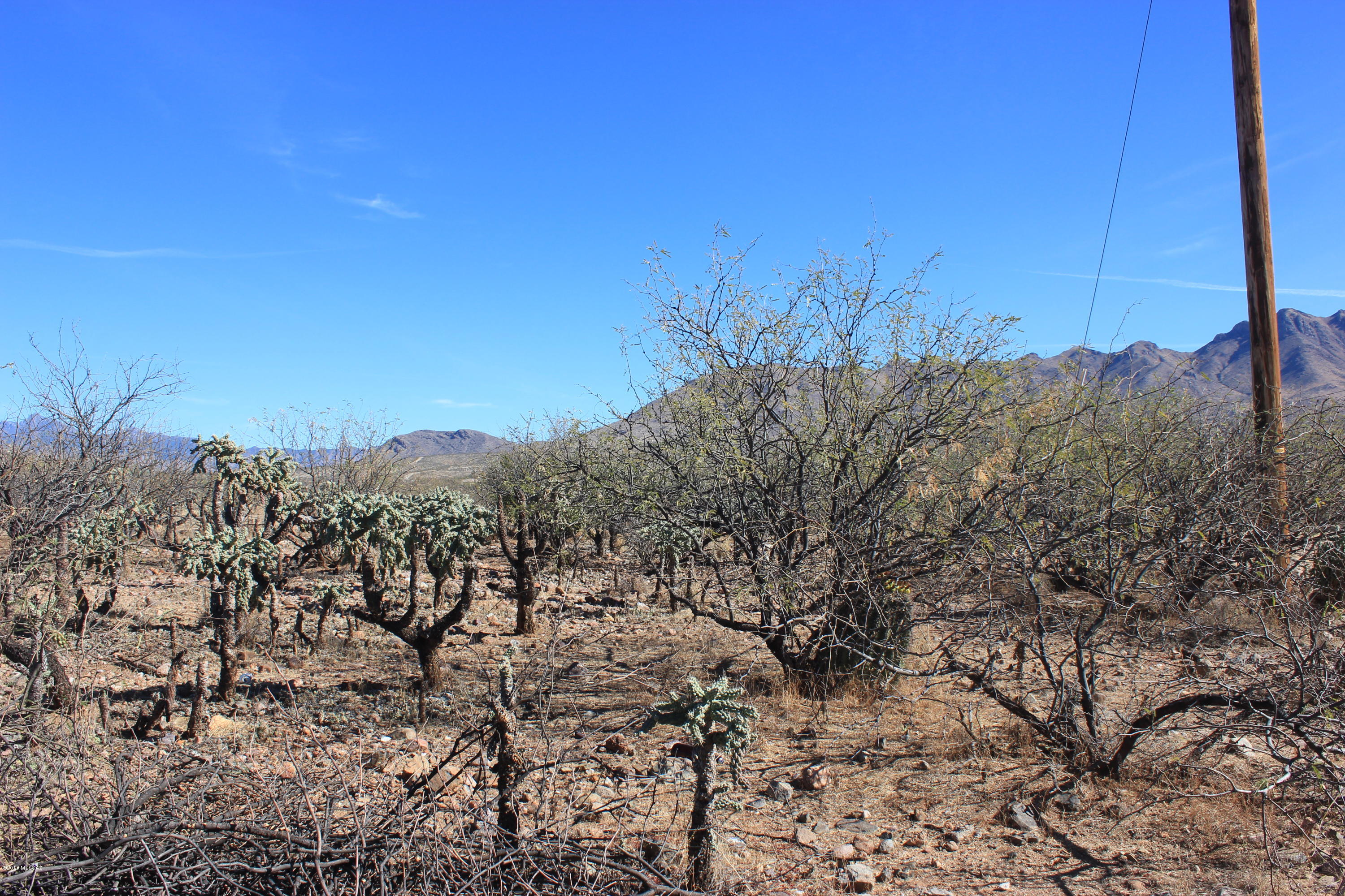 Rio Rico Ranchettes 18 - Land