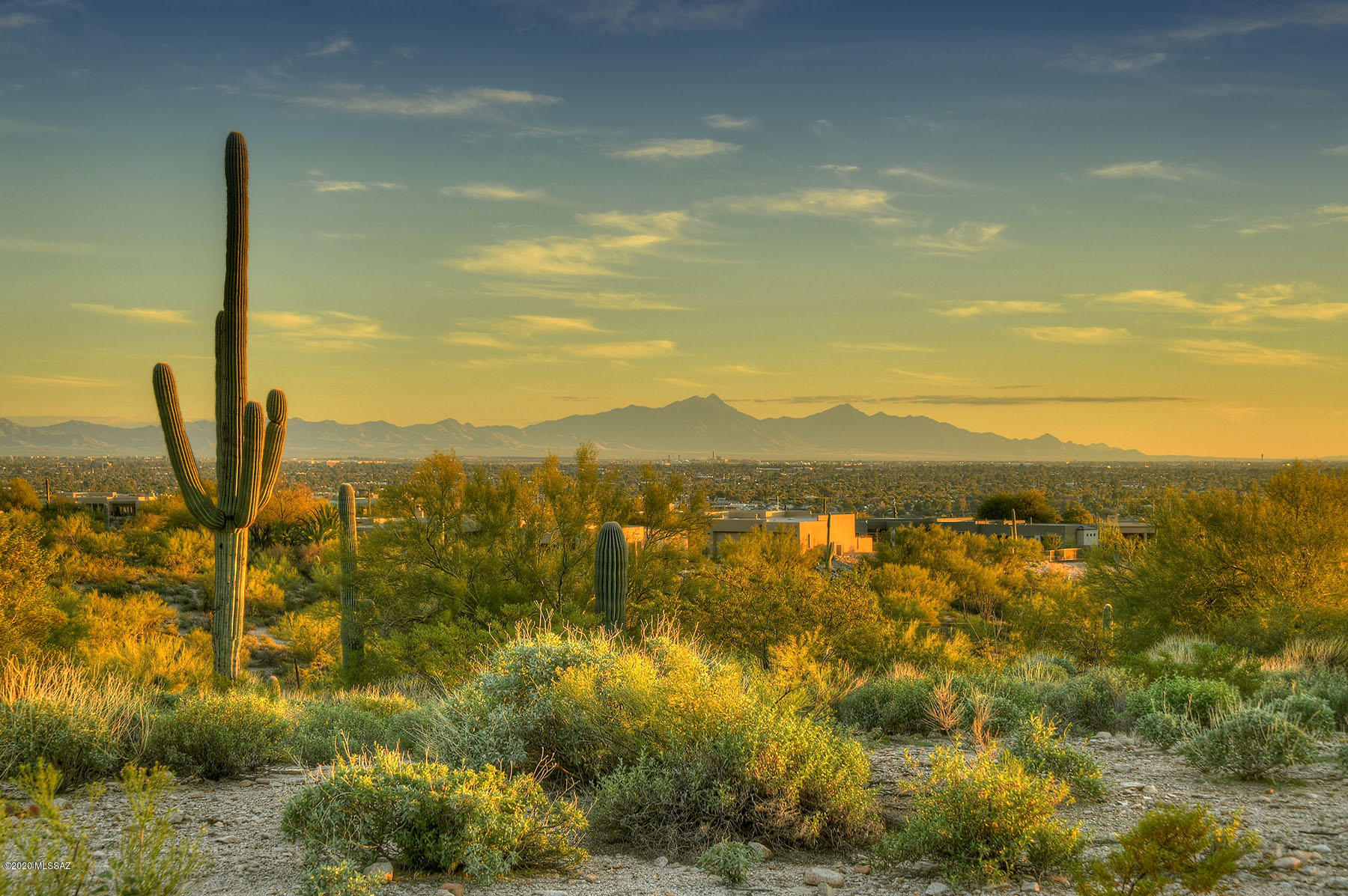 Catalina Foothills Estates NO. 2 - Land