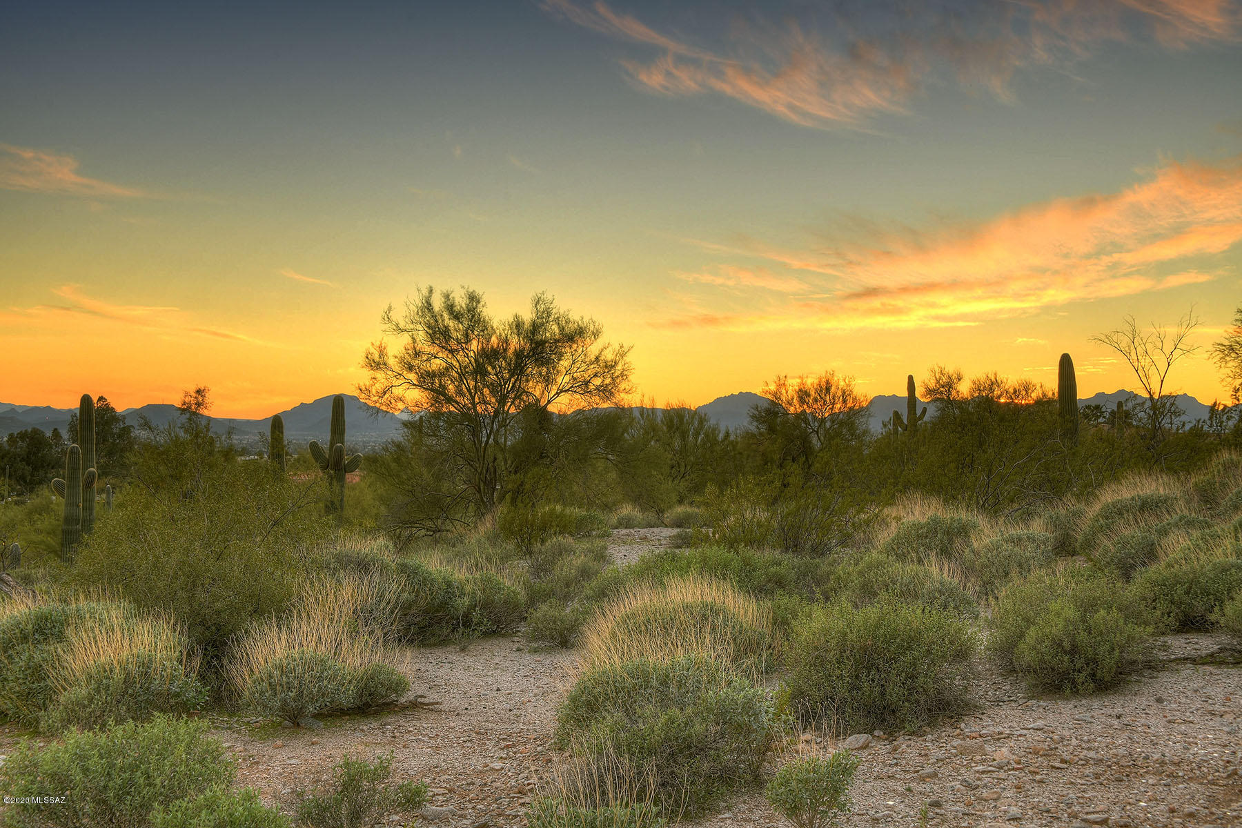 Catalina Foothills Estates NO. 2 - Land