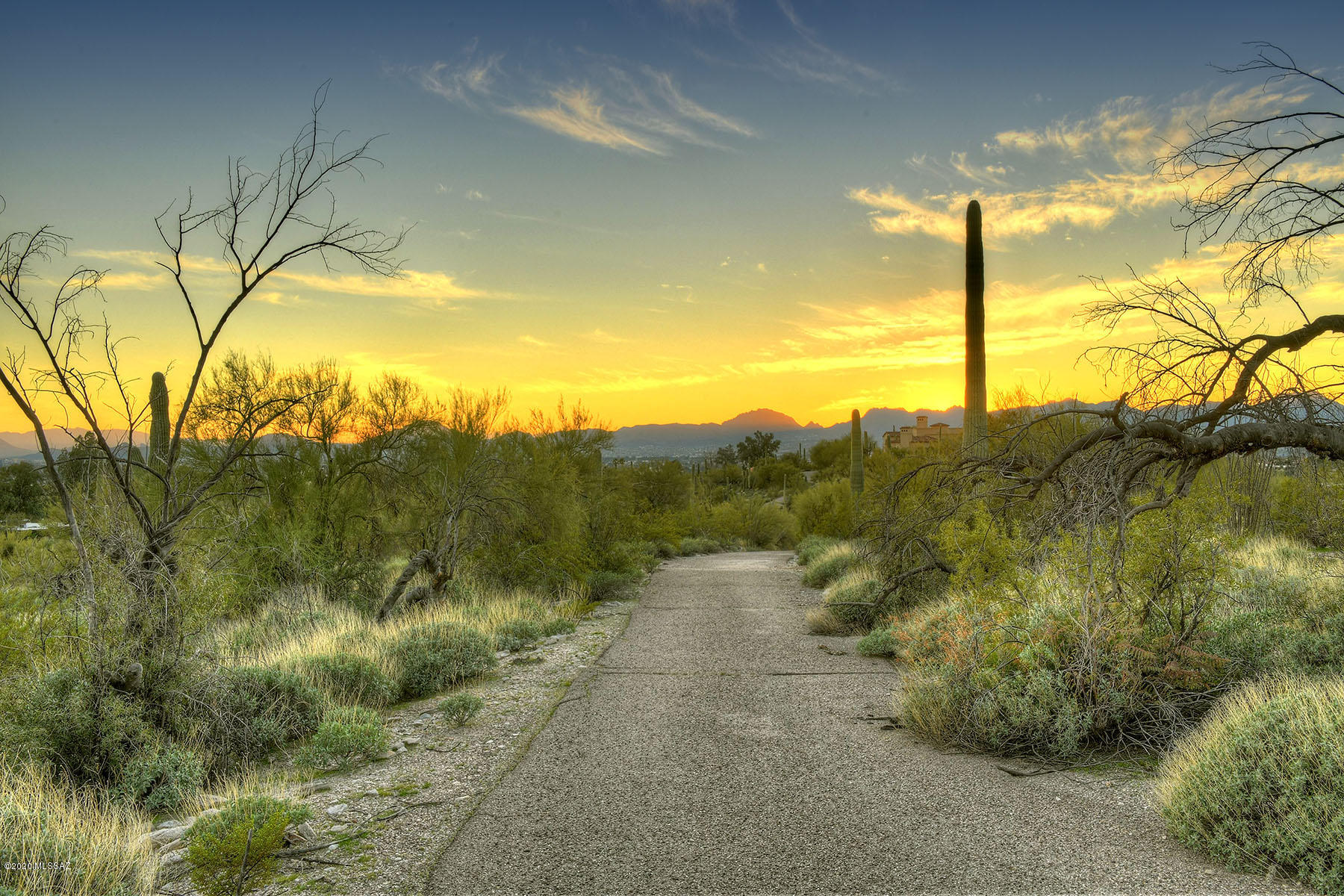 Catalina Foothills Estates NO. 2 - Land