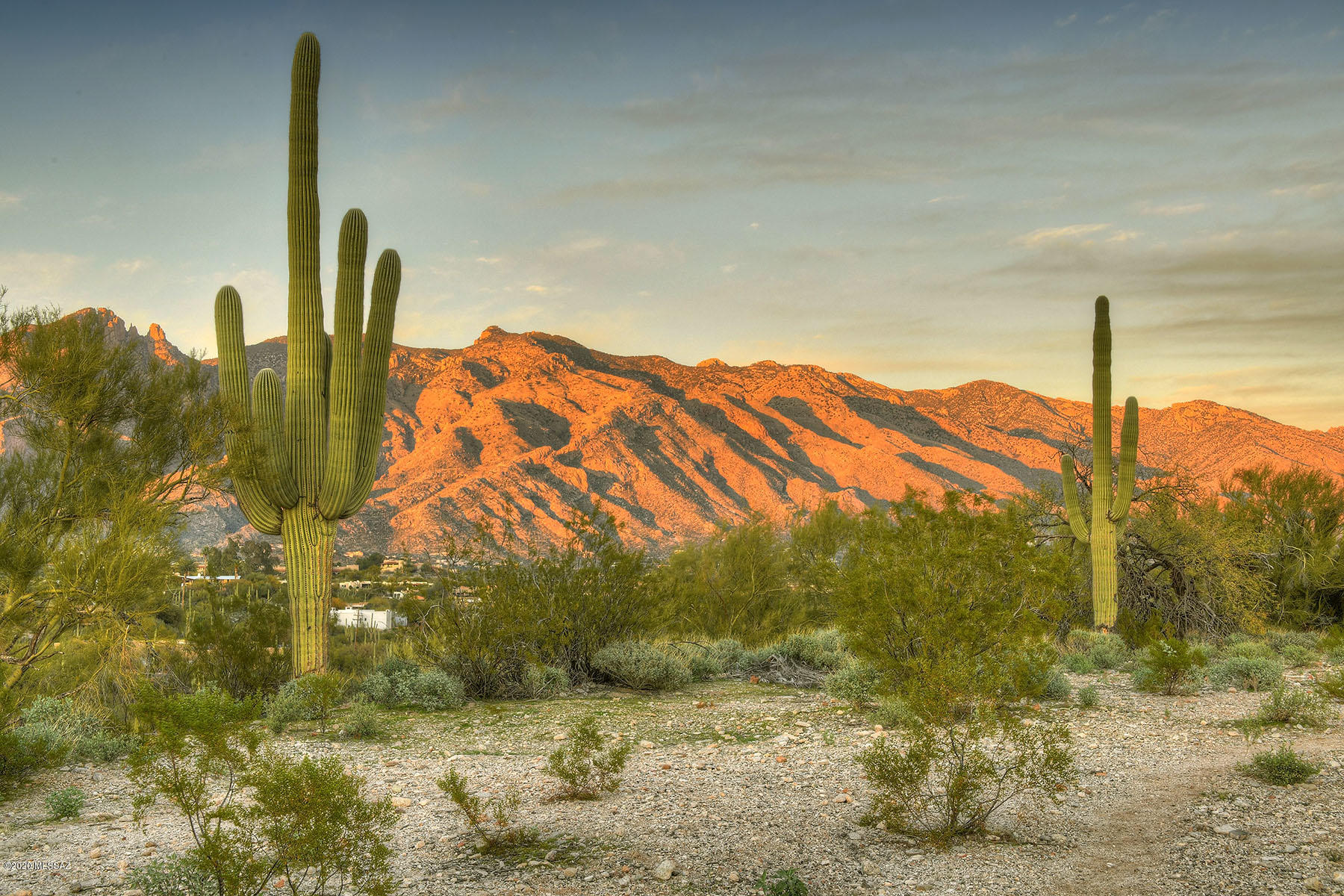 Catalina Foothills Estates NO. 2 - Land
