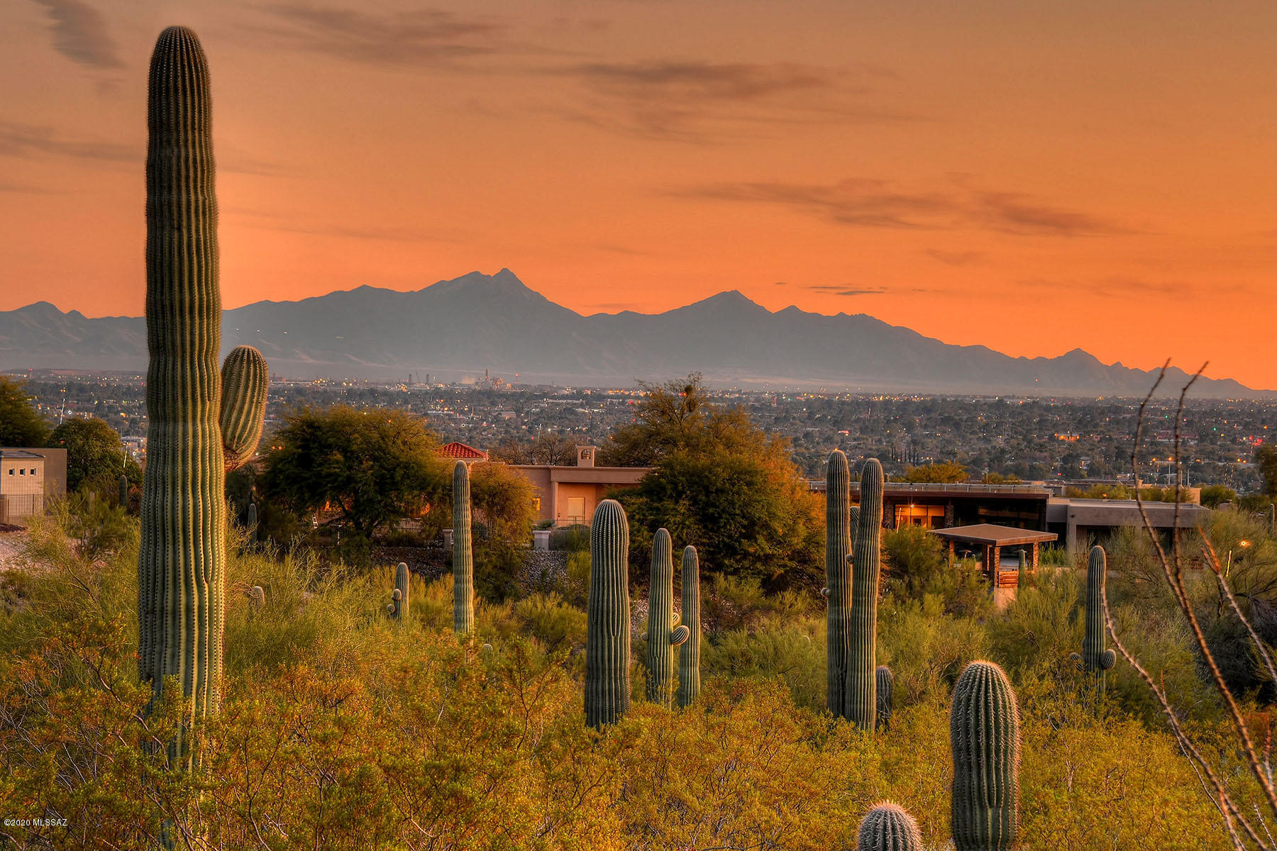 Catalina Foothills Estates NO. 2 - Land