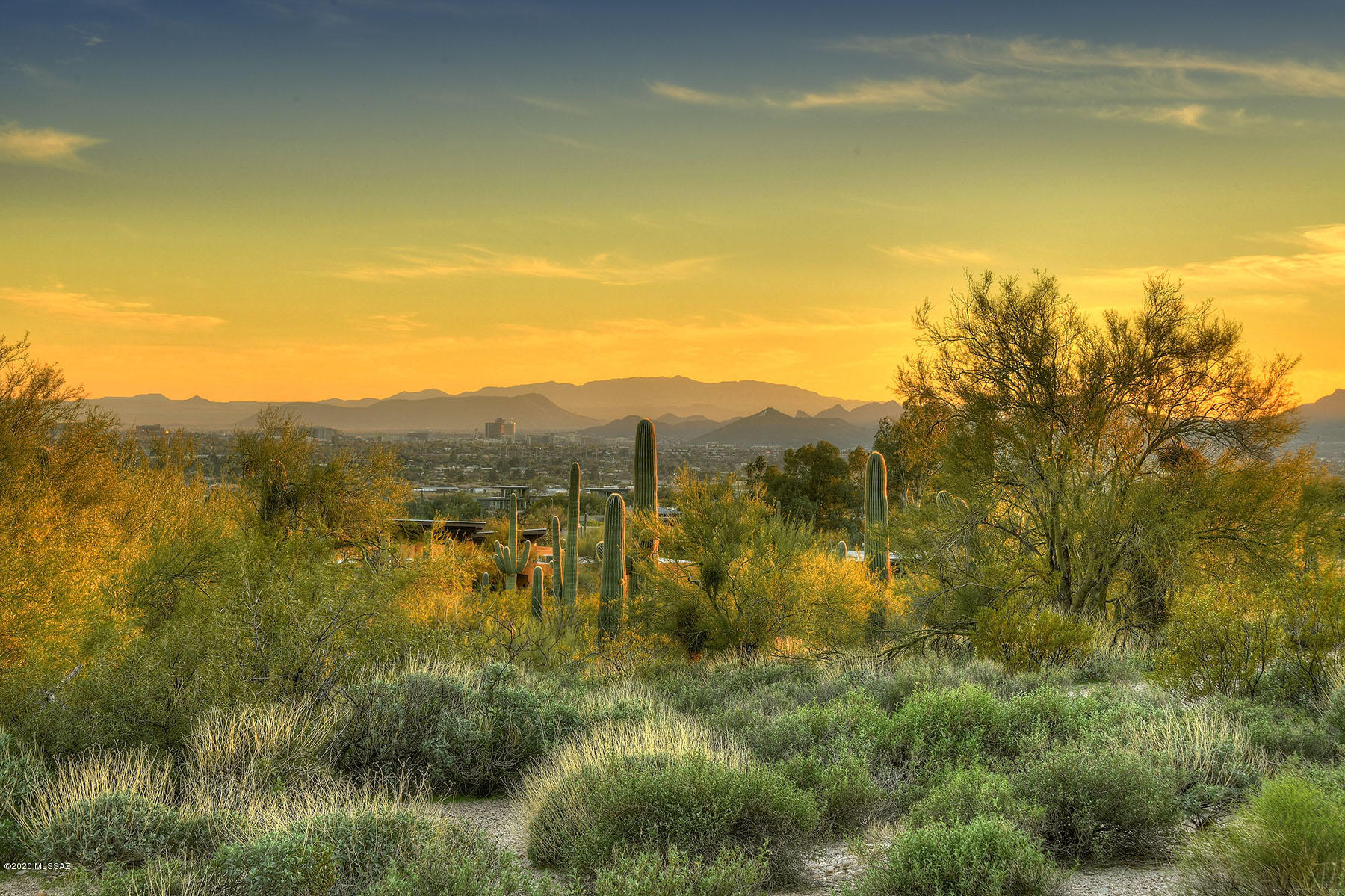 Catalina Foothills Estates NO. 2 - Land