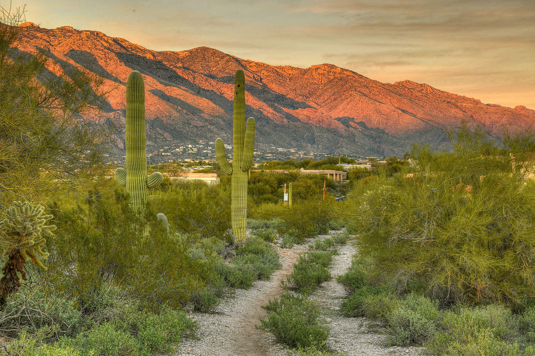 Catalina Foothills Estates NO. 2 - Land