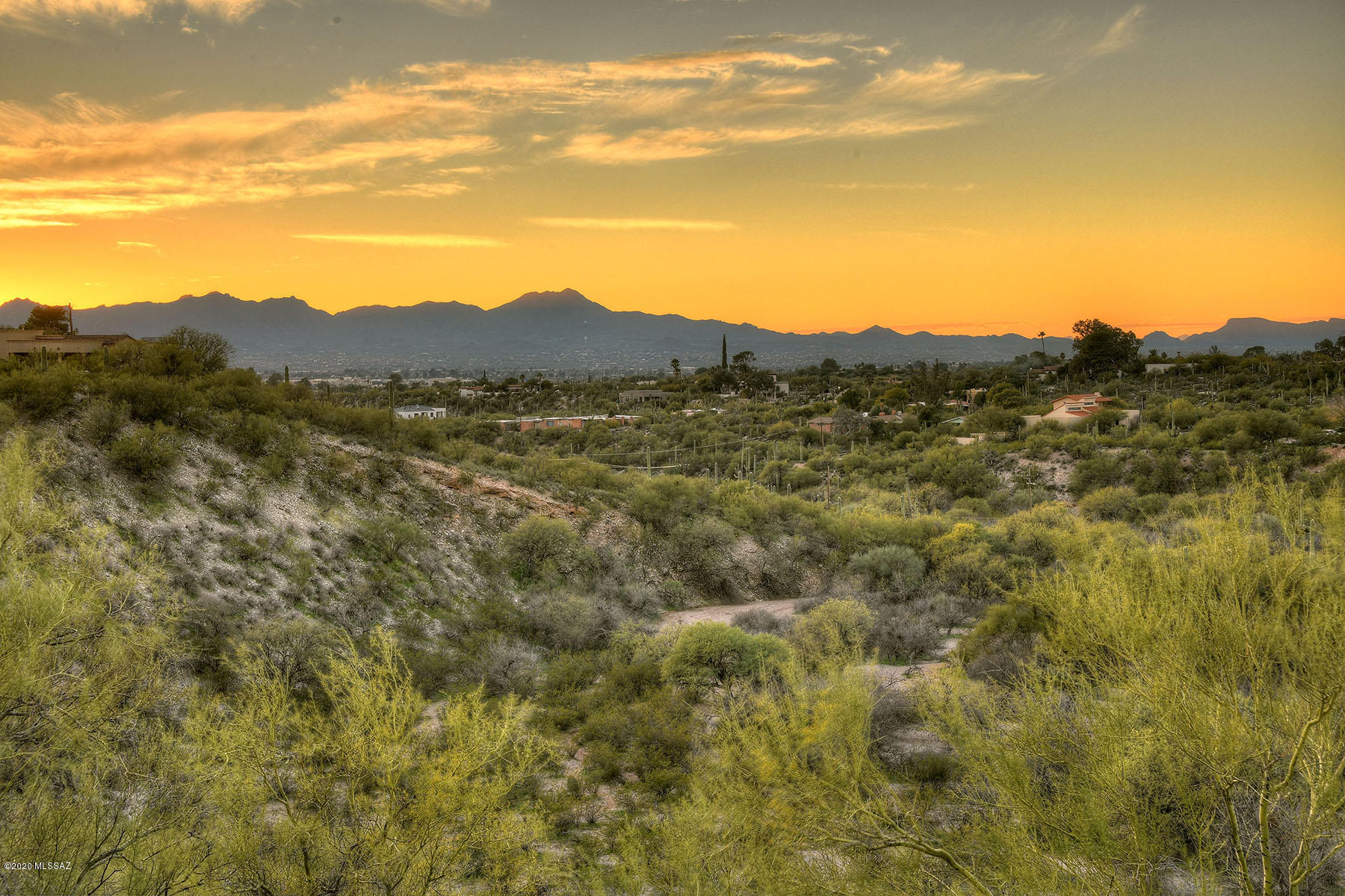 Catalina Foothills Estates NO. 2 - Land