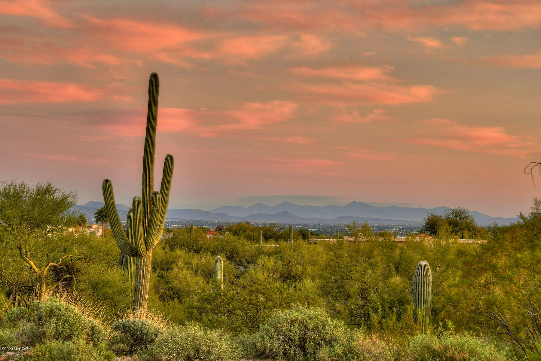 Catalina Foothills Estates NO. 2 - Land