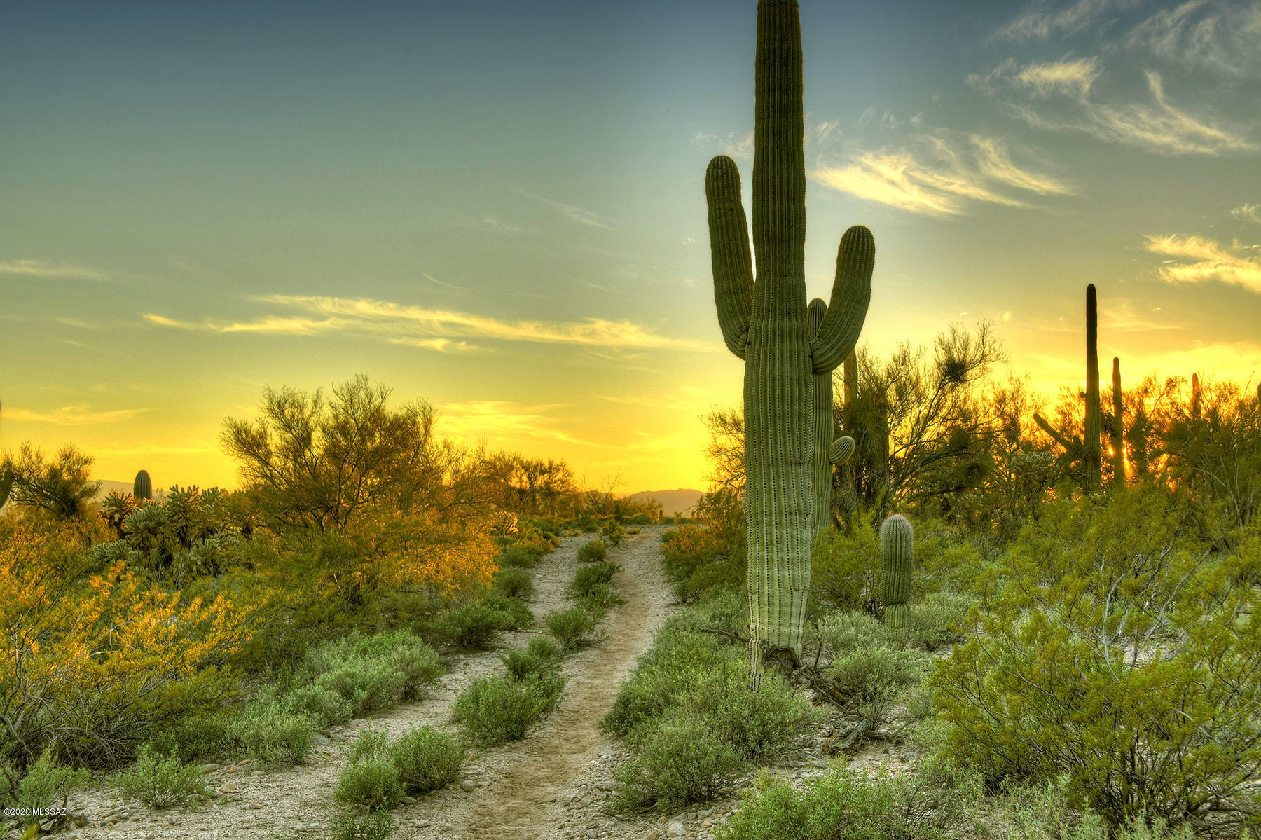 Catalina Foothills Estates NO. 2 - Land