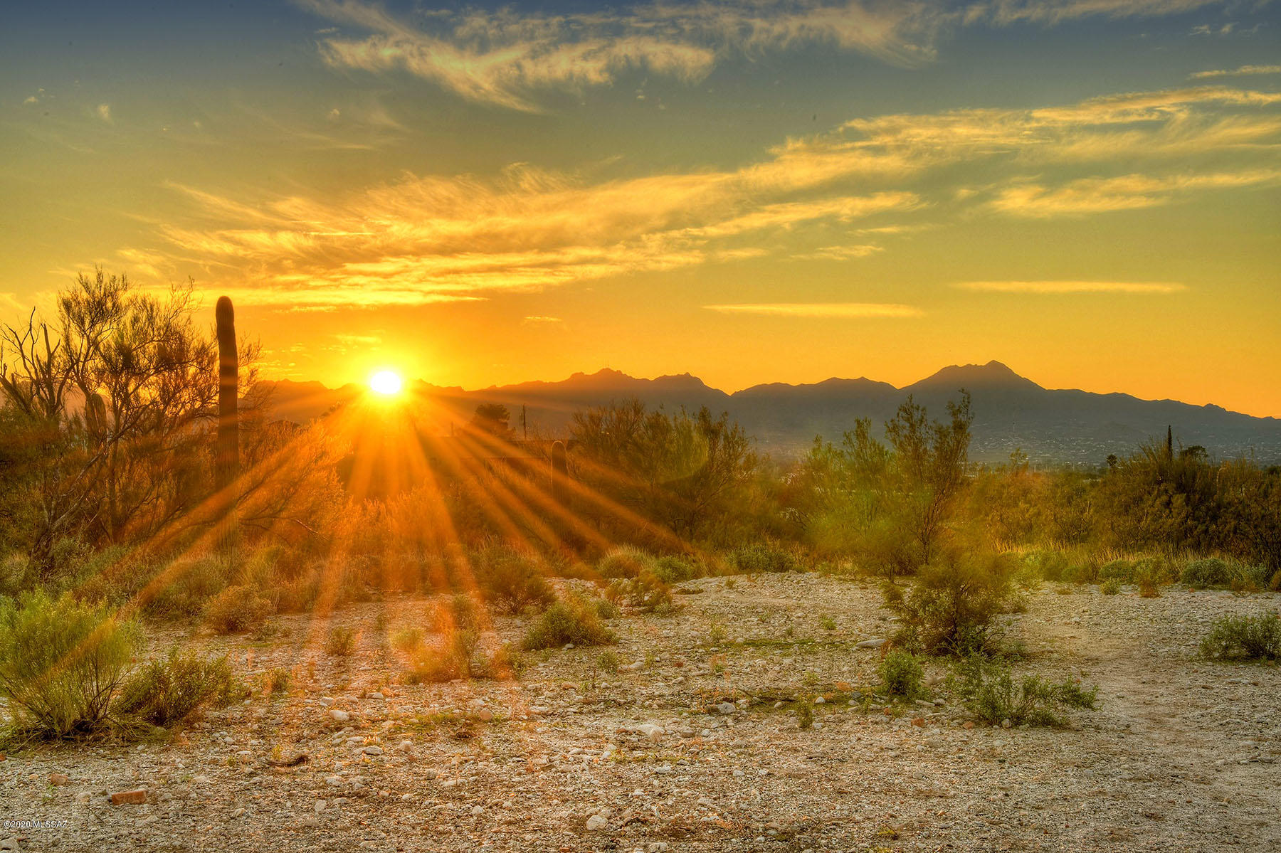 Catalina Foothills Estates NO. 2 - Land