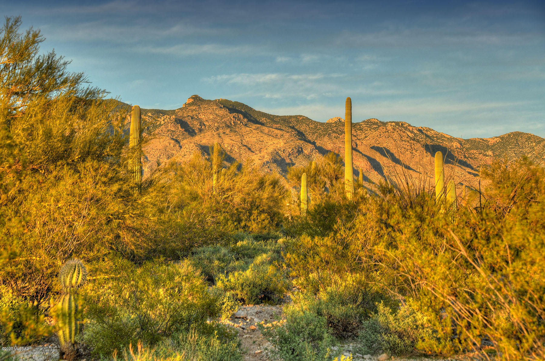 Catalina Foothills Estates NO. 2 - Land