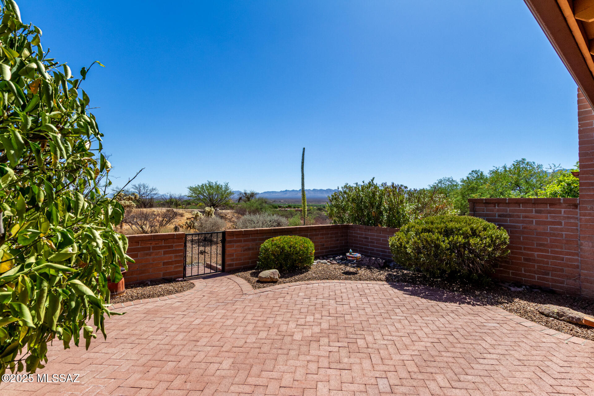 1272 W Camino Del Pato