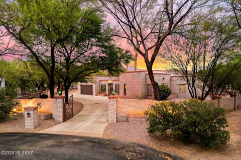 12513 E Jeffers Place Tucson AZ 85749
