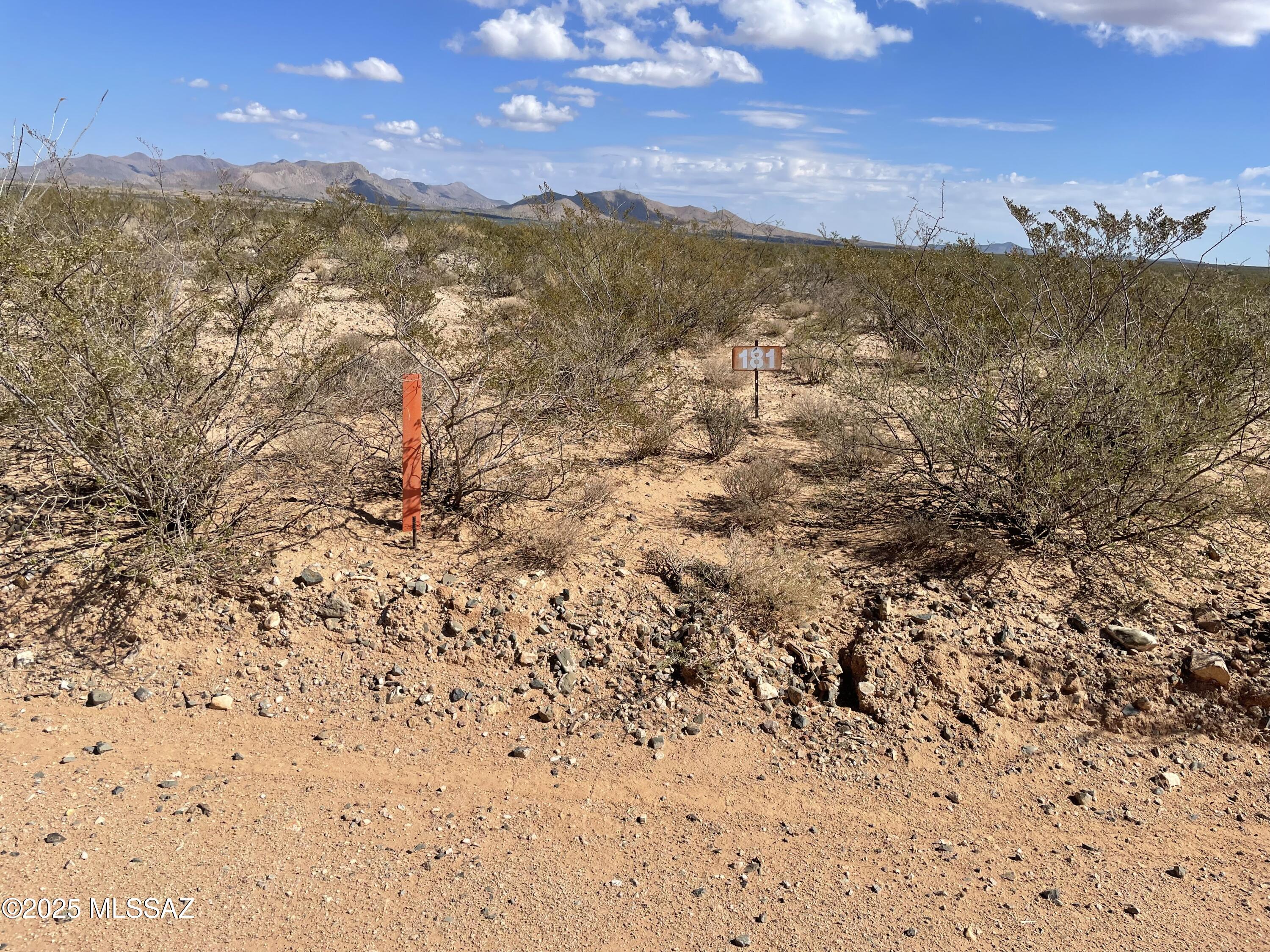 Dragoon Mountain Ranch - Land