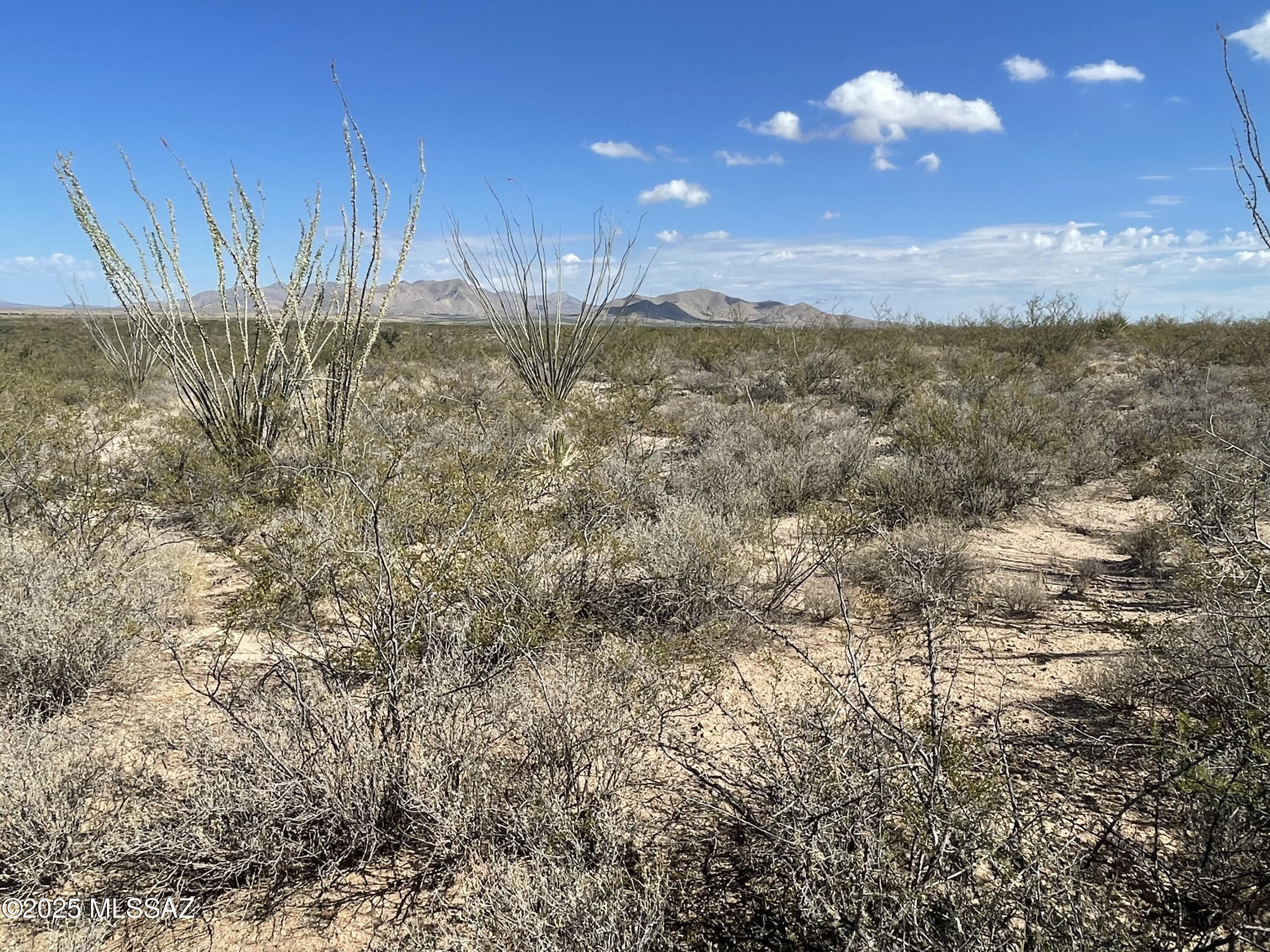 Dragoon Mountain Ranch - Land