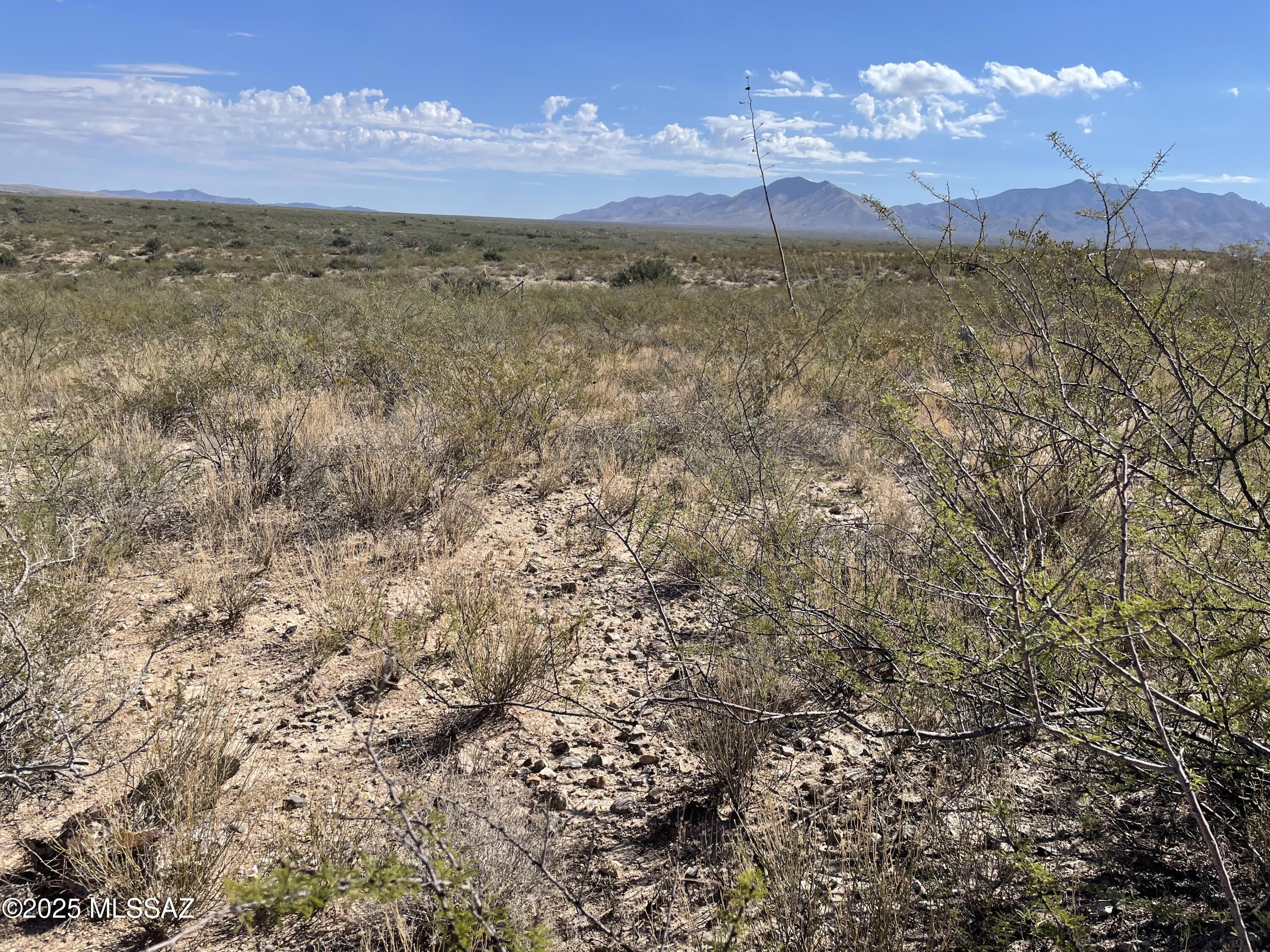 Dragoon Mountain Ranch - Land