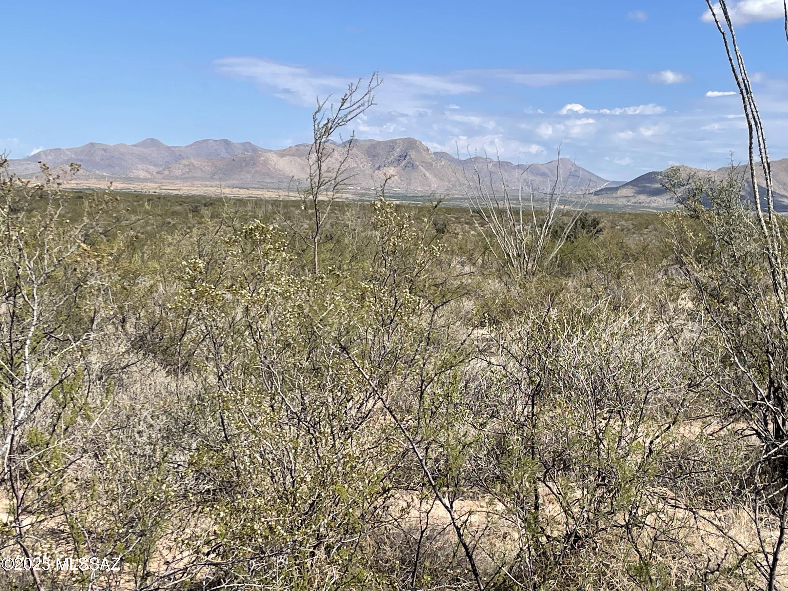 Dragoon Mountain Ranch - Land