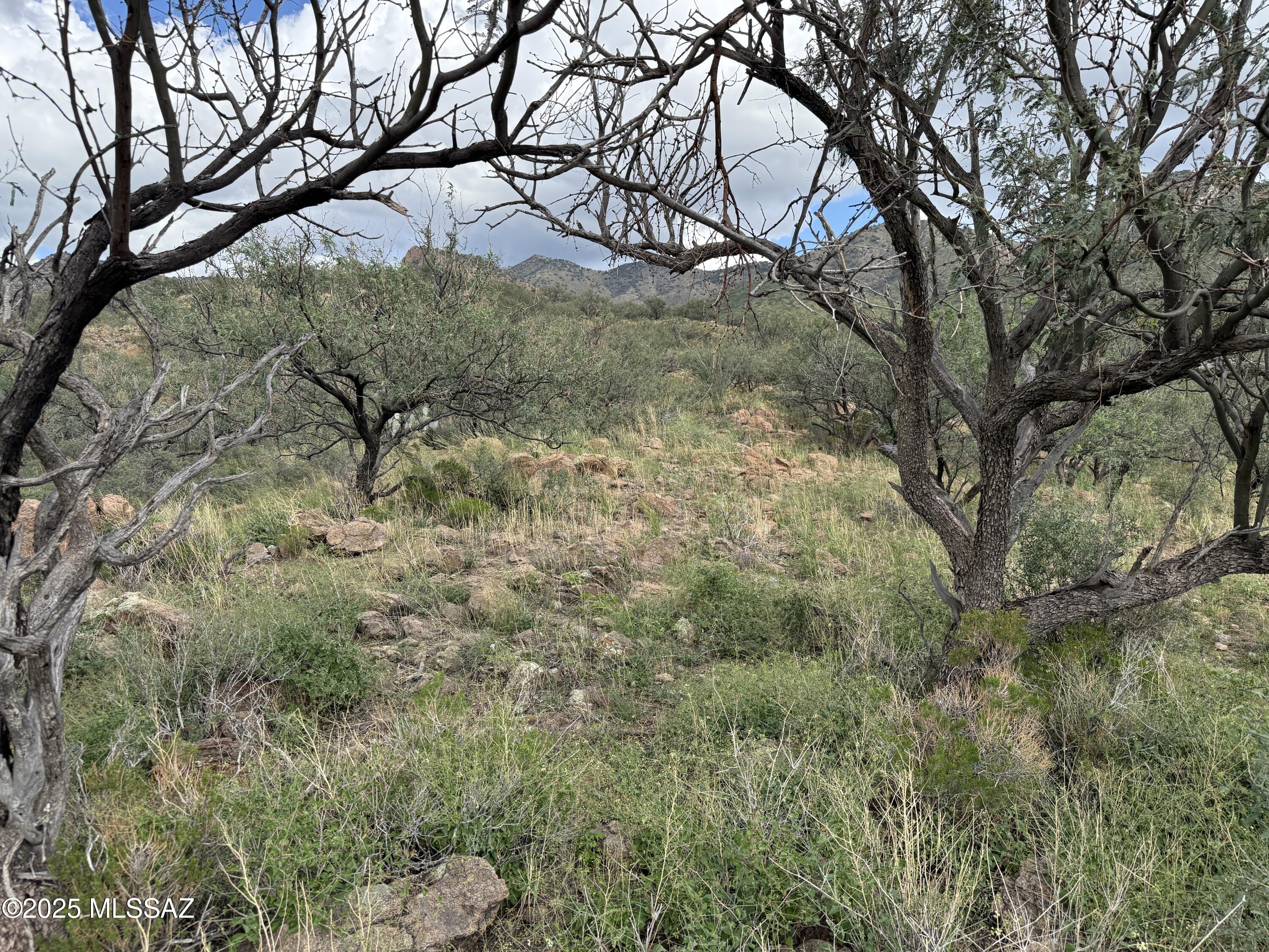Salero Ranch - Land