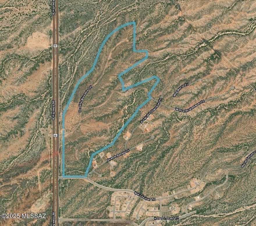 The incredible buy includes 85 platted lots, 2 partially developed lots, common areas and private streets. It includes 162+/- acres of land zoned in Benson as B-2. B-2 zoning which includes all uses permitted in R-1, R-2, and R-3 and all B-1 zoned areas. In addition, it will allow for heavier commercial uses such as service stations, funeral homes, repair shops, hotels, drug stores and many others. The 2 partially developed lots are zoned R-3. Property is adjacent to the master planned community of Village at Vigneto and once development begins the area will grow quickly, don't miss this chance.