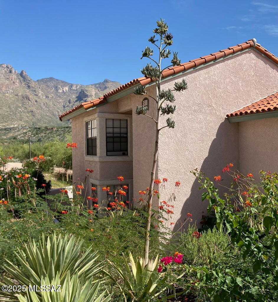 6500 N Tierra de las Catalinas