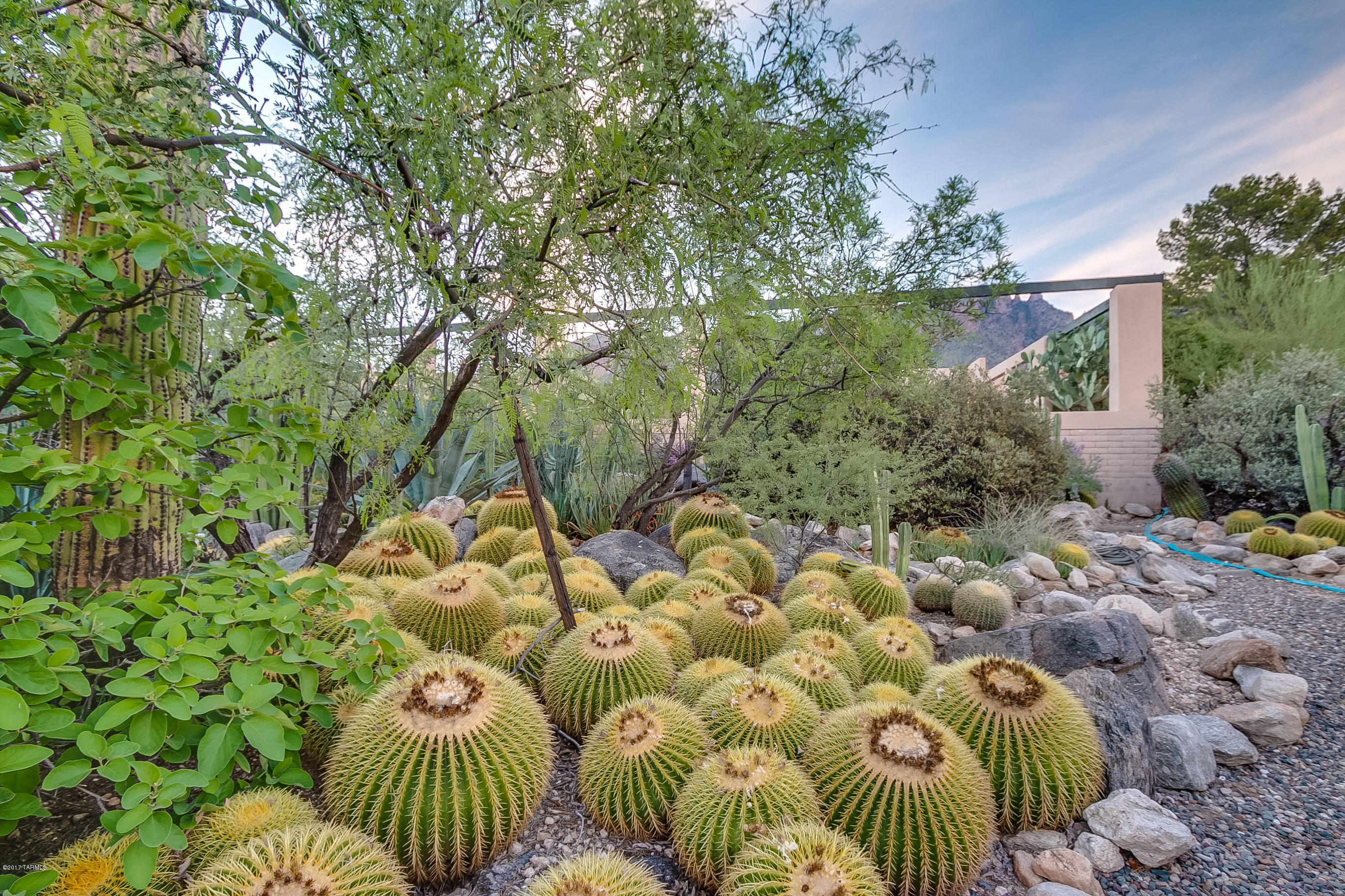 Coronado Foothills Estates - Residential
