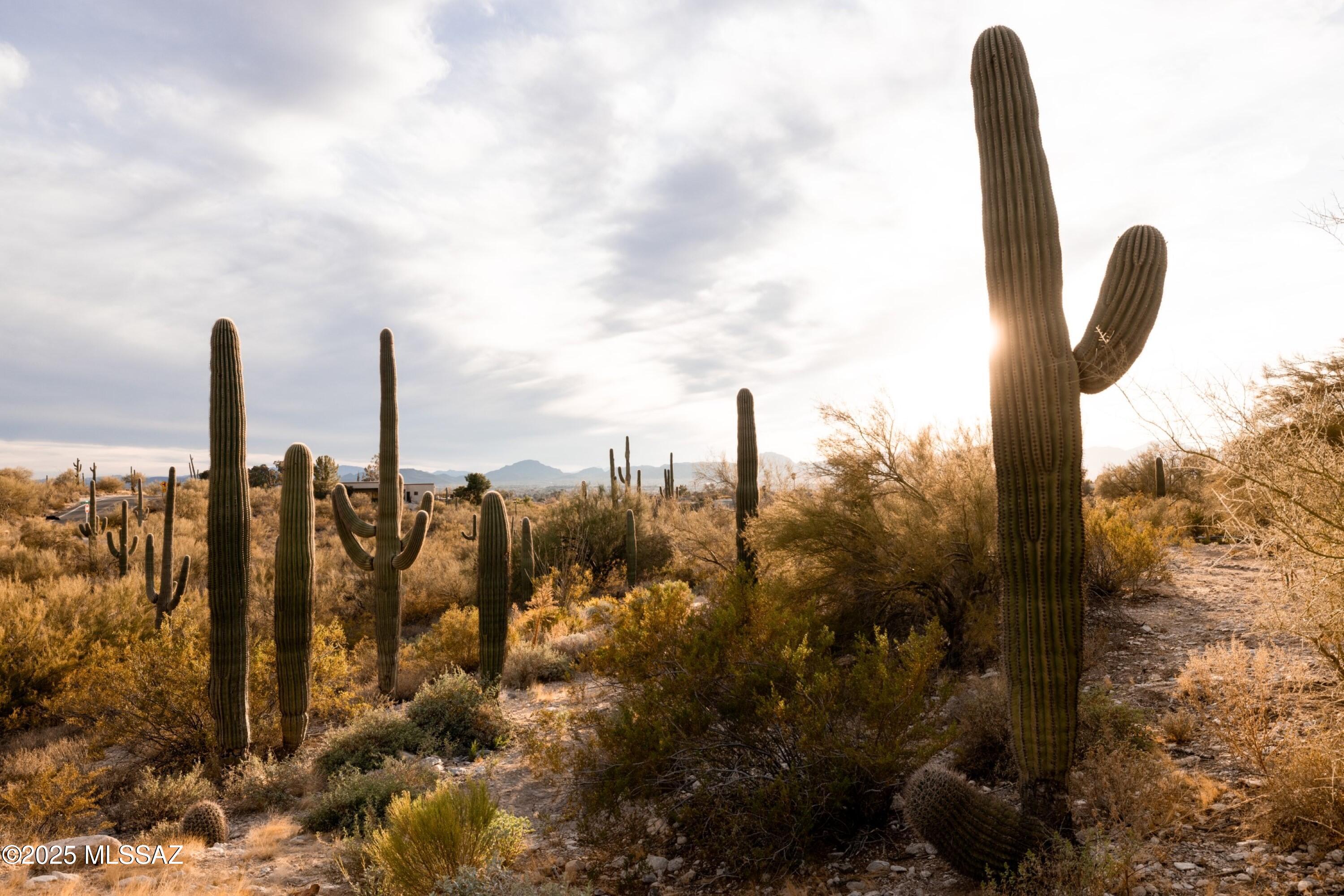 Catalina Foothills Estates - Residential