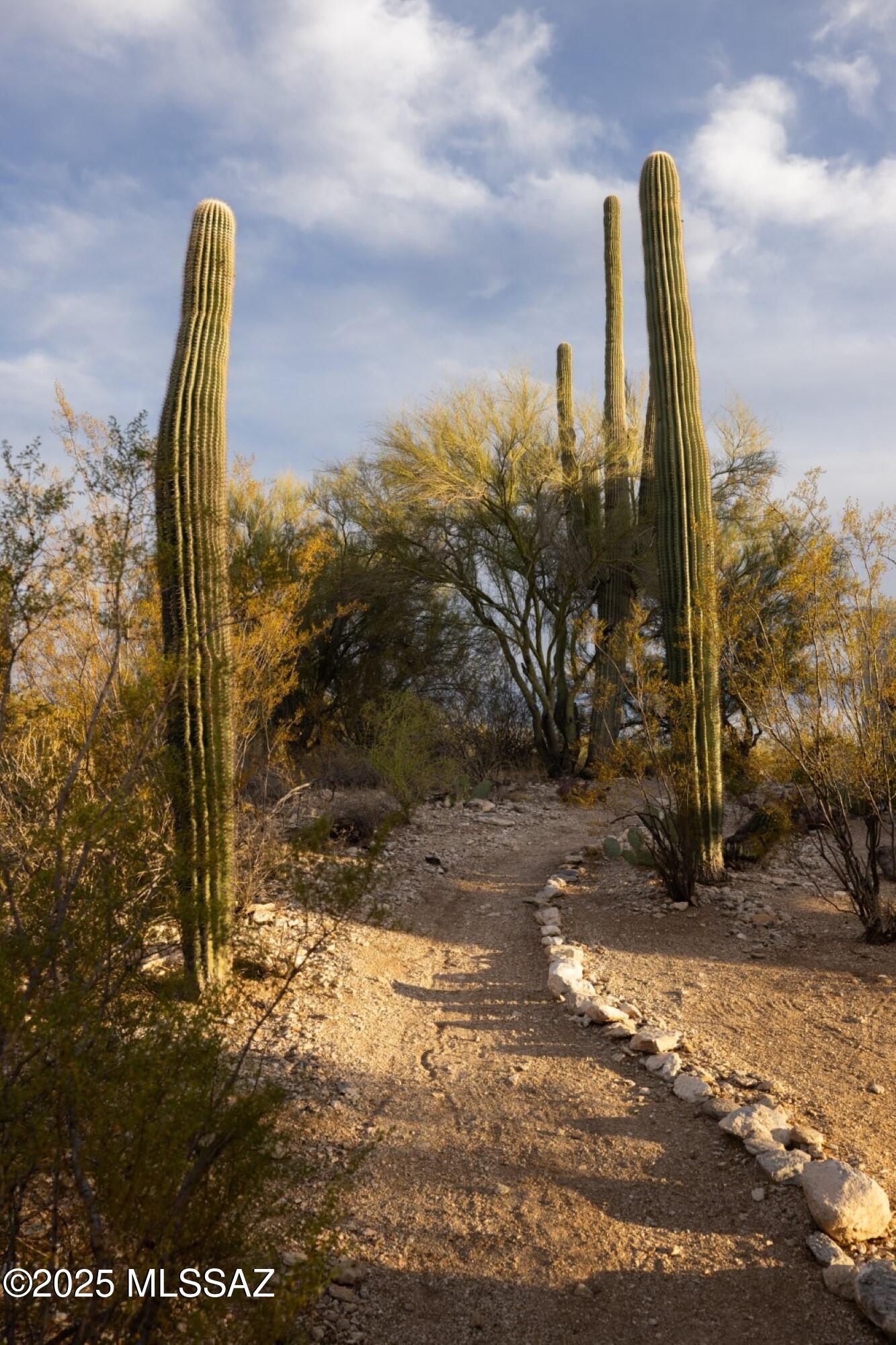Catalina Foothills Estates - Residential