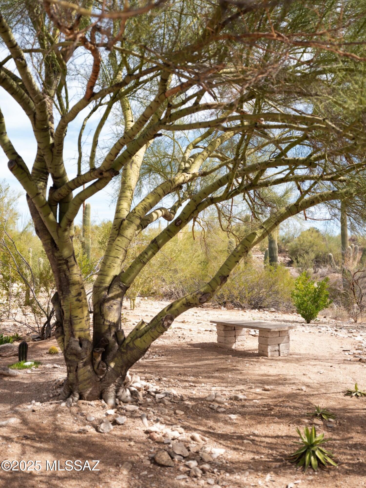 Catalina Foothills Estates - Residential