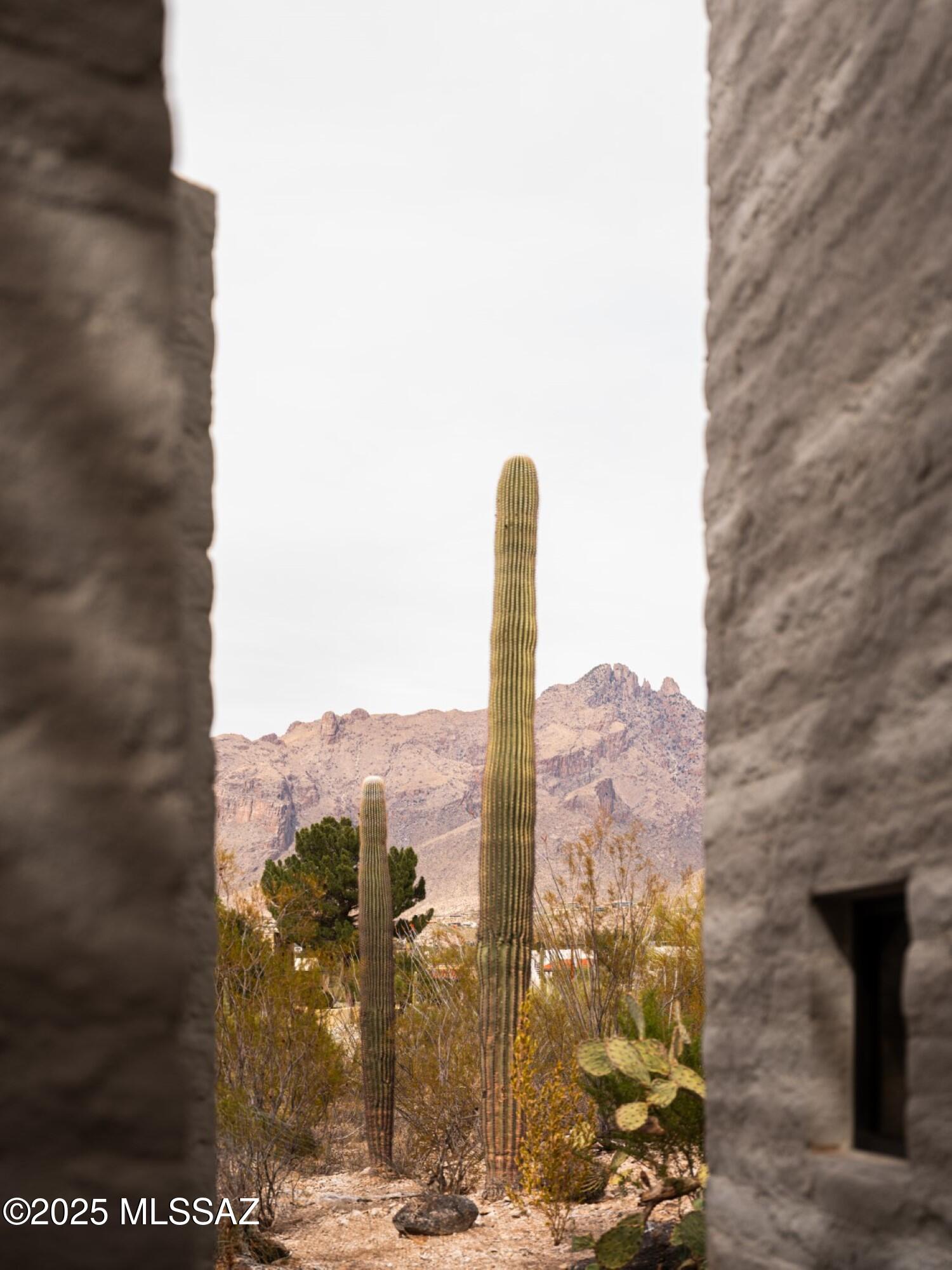 Catalina Foothills Estates - Residential