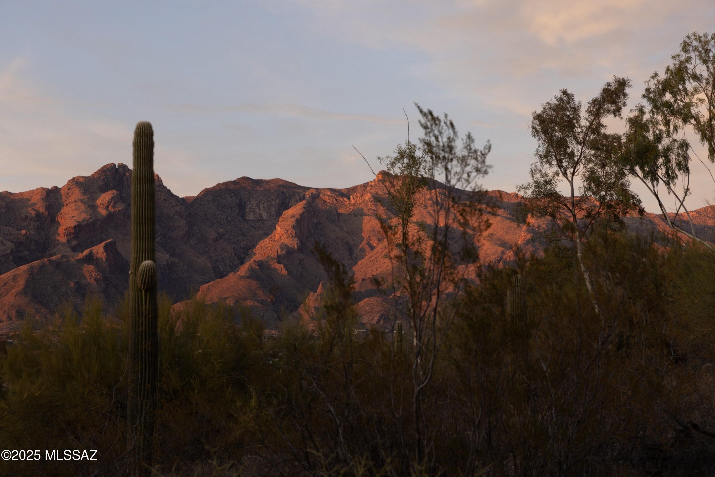 Catalina Foothills Estates - Residential