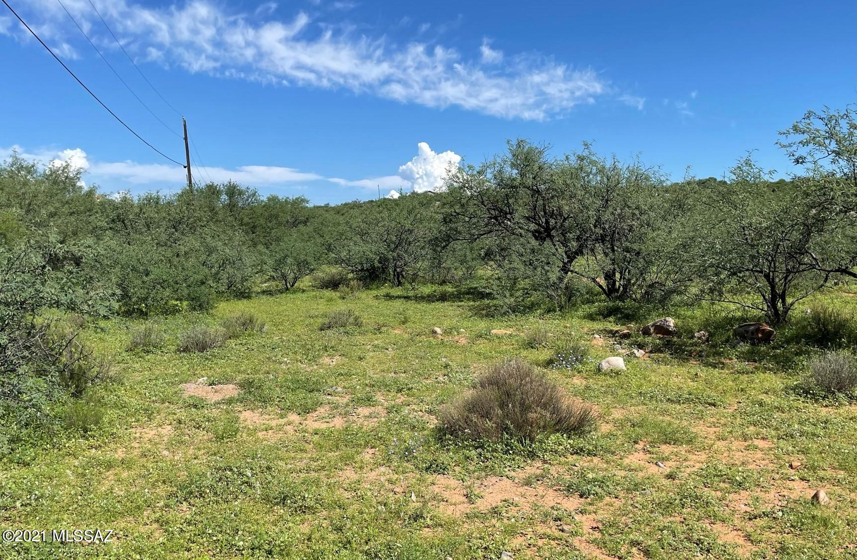 Rio Rico Villas 12 - Land