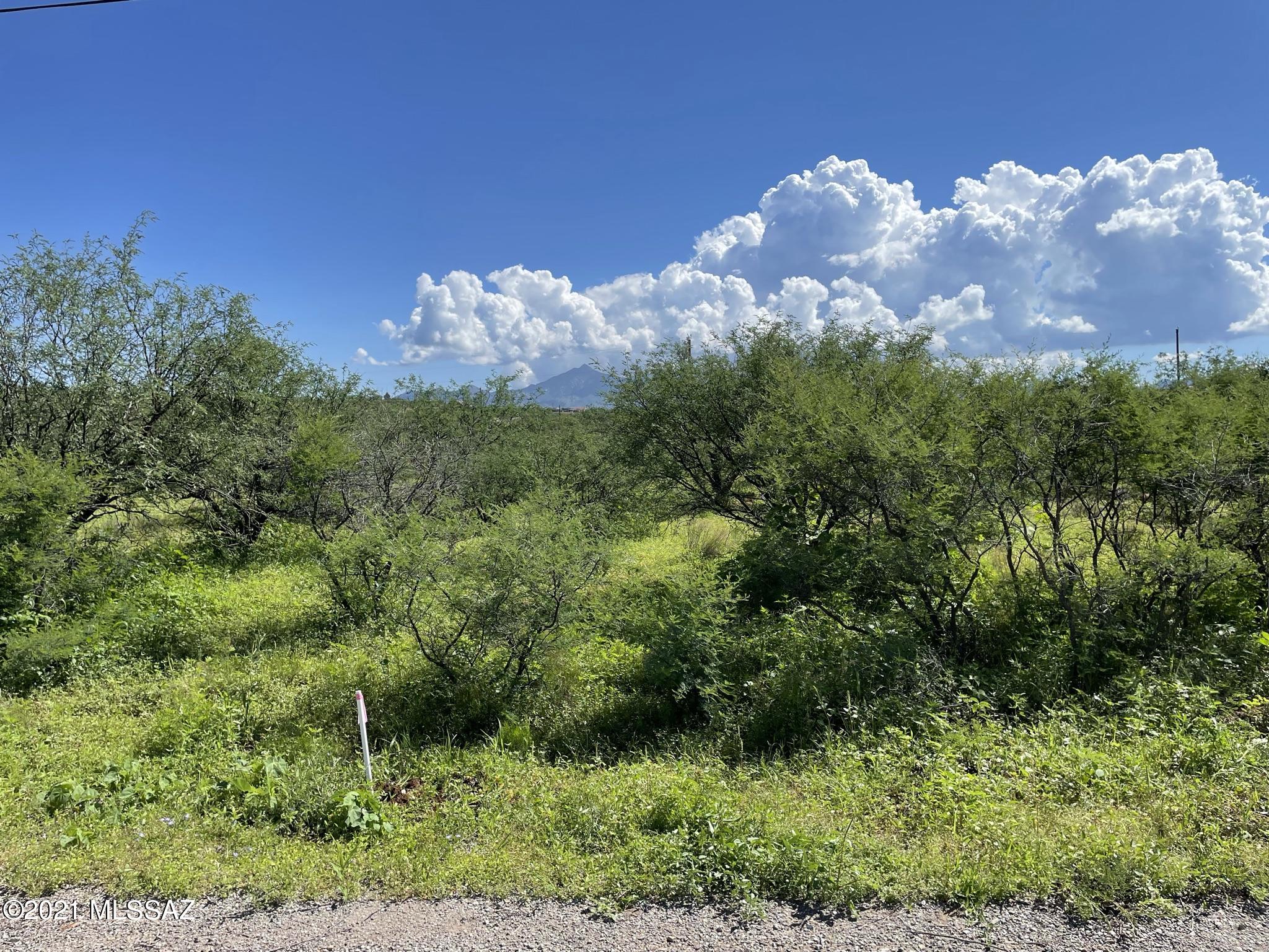 Rio Rico Villas 12 - Land