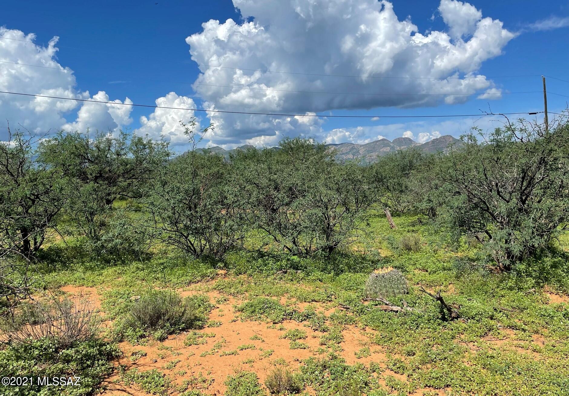 Rio Rico Villas 12 - Land