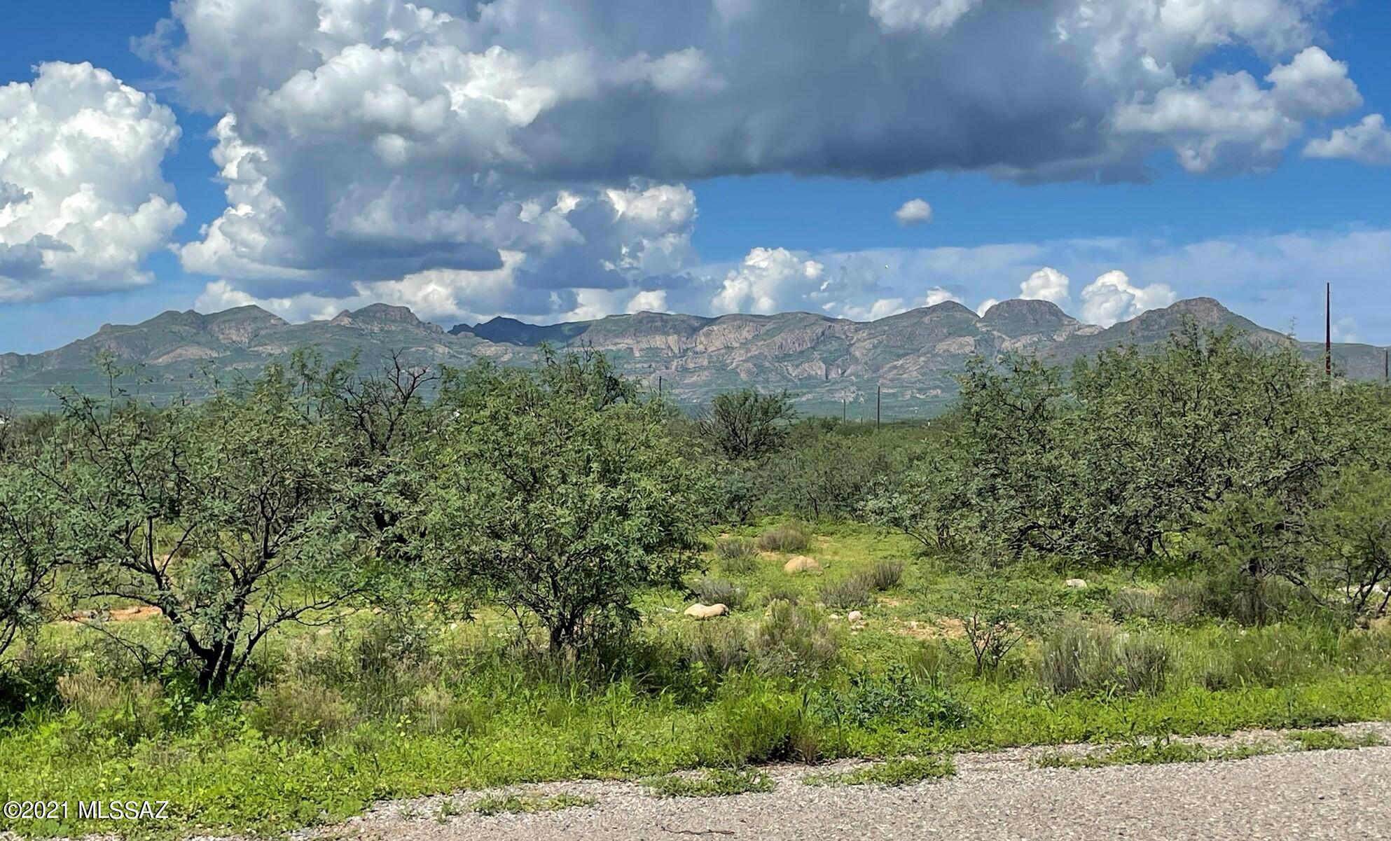 Rio Rico Villas 12 - Land