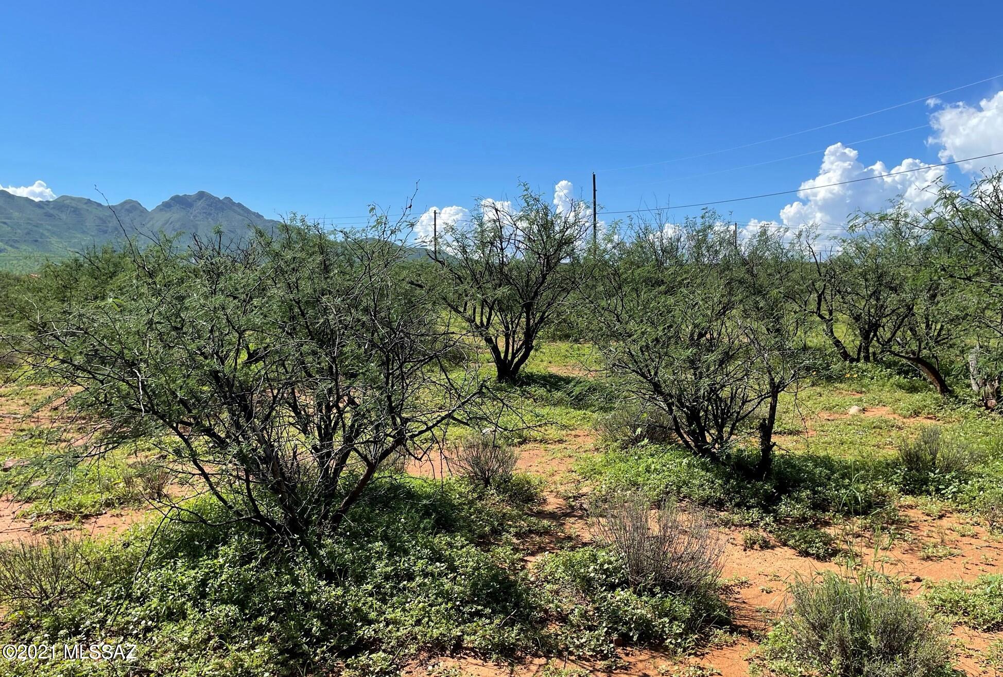 Rio Rico Villas 12 - Land