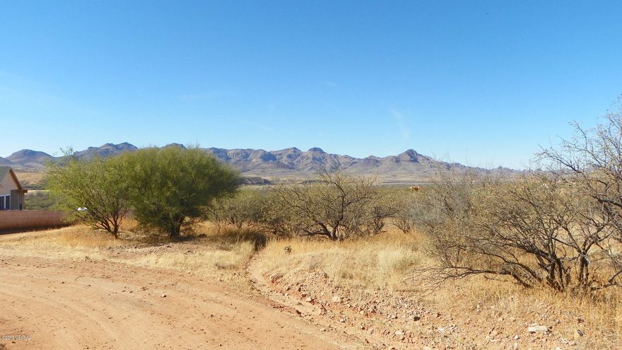 Residential lot not far from Palo Parado bridge Rd. to interstate.  Electric and water at the street.  Septic required. Mountain views.  Seller financing available.