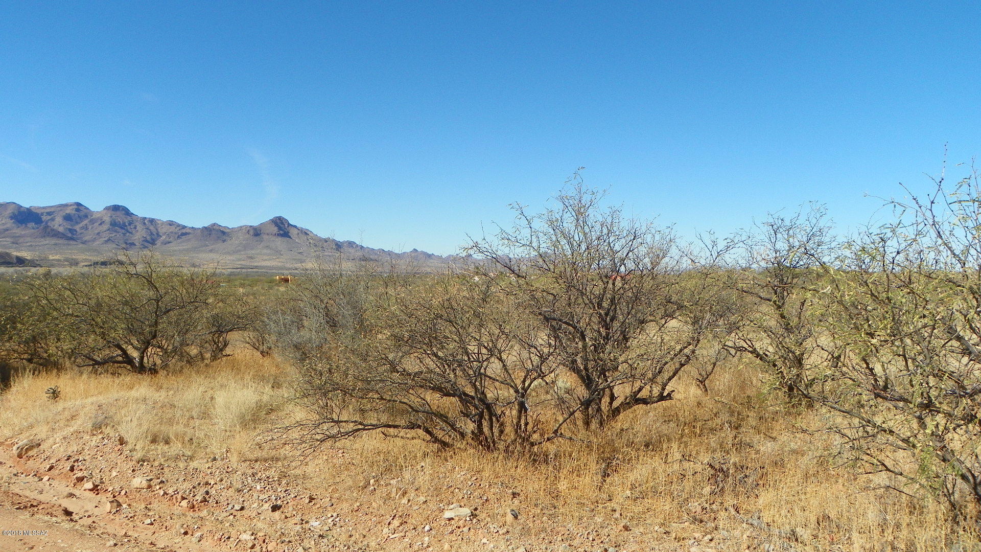 Rio Rico Ranchettes 17 - Land