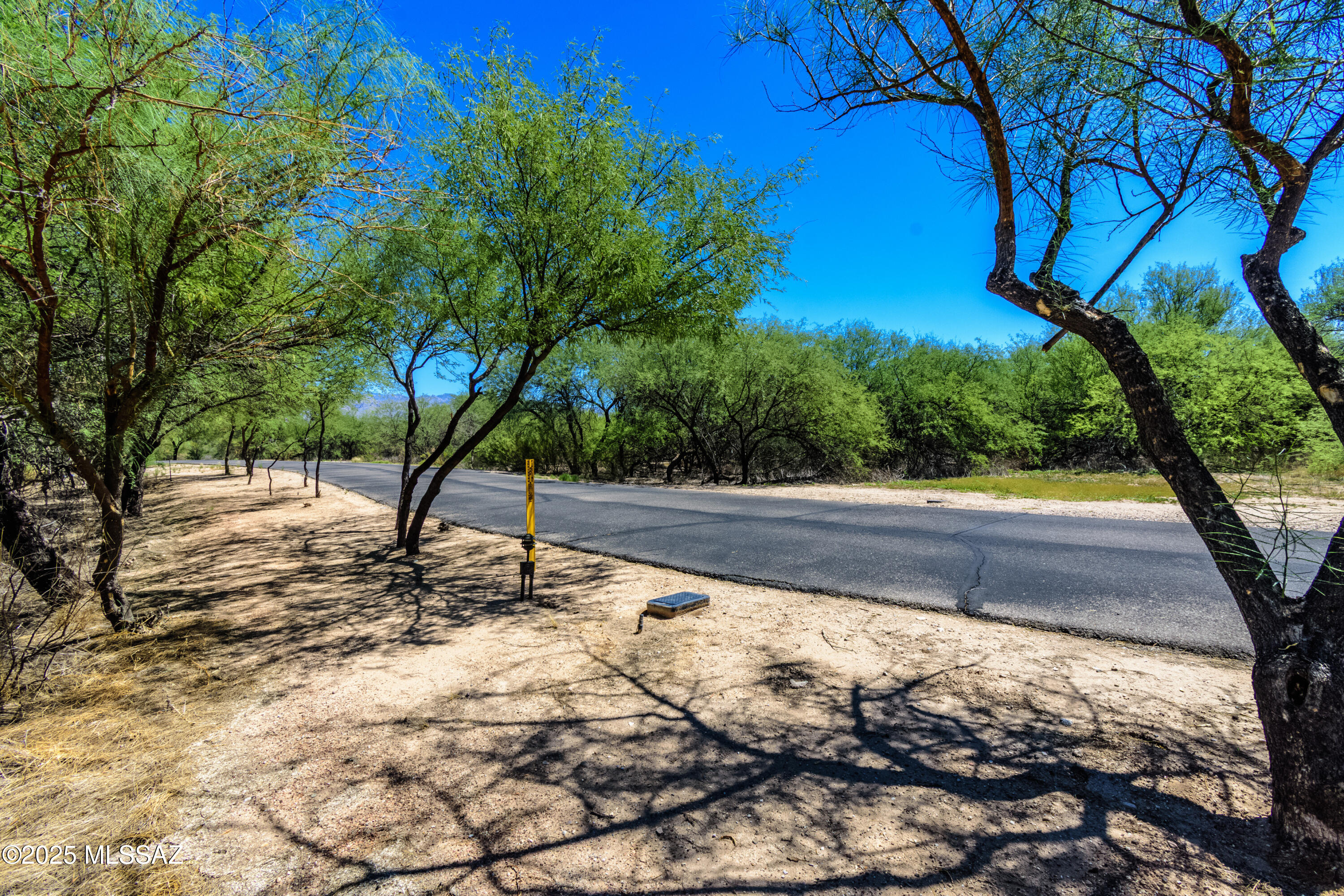 1632 Mariposa Woods Place N 309