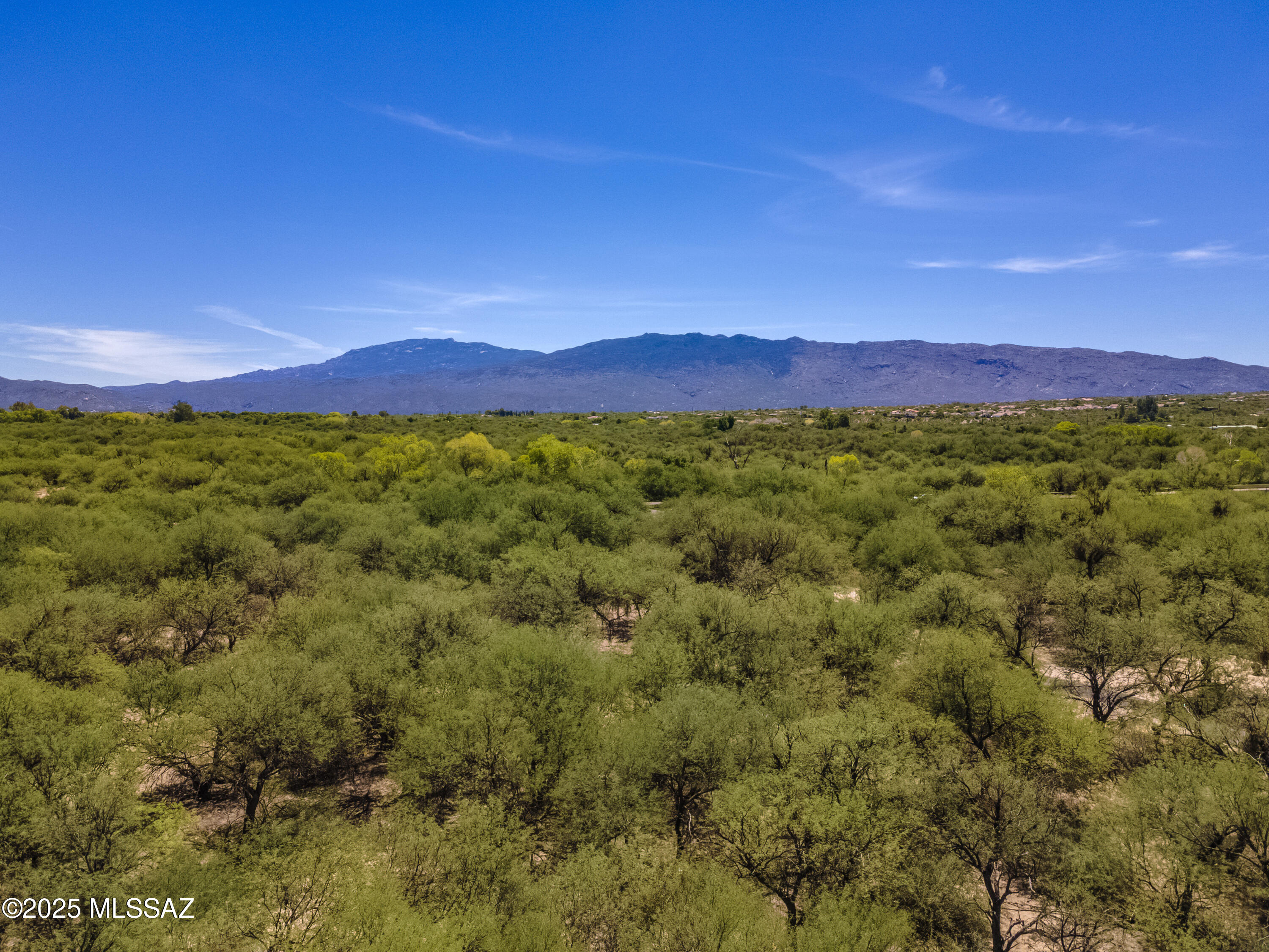 1632 Mariposa Woods Place N 309