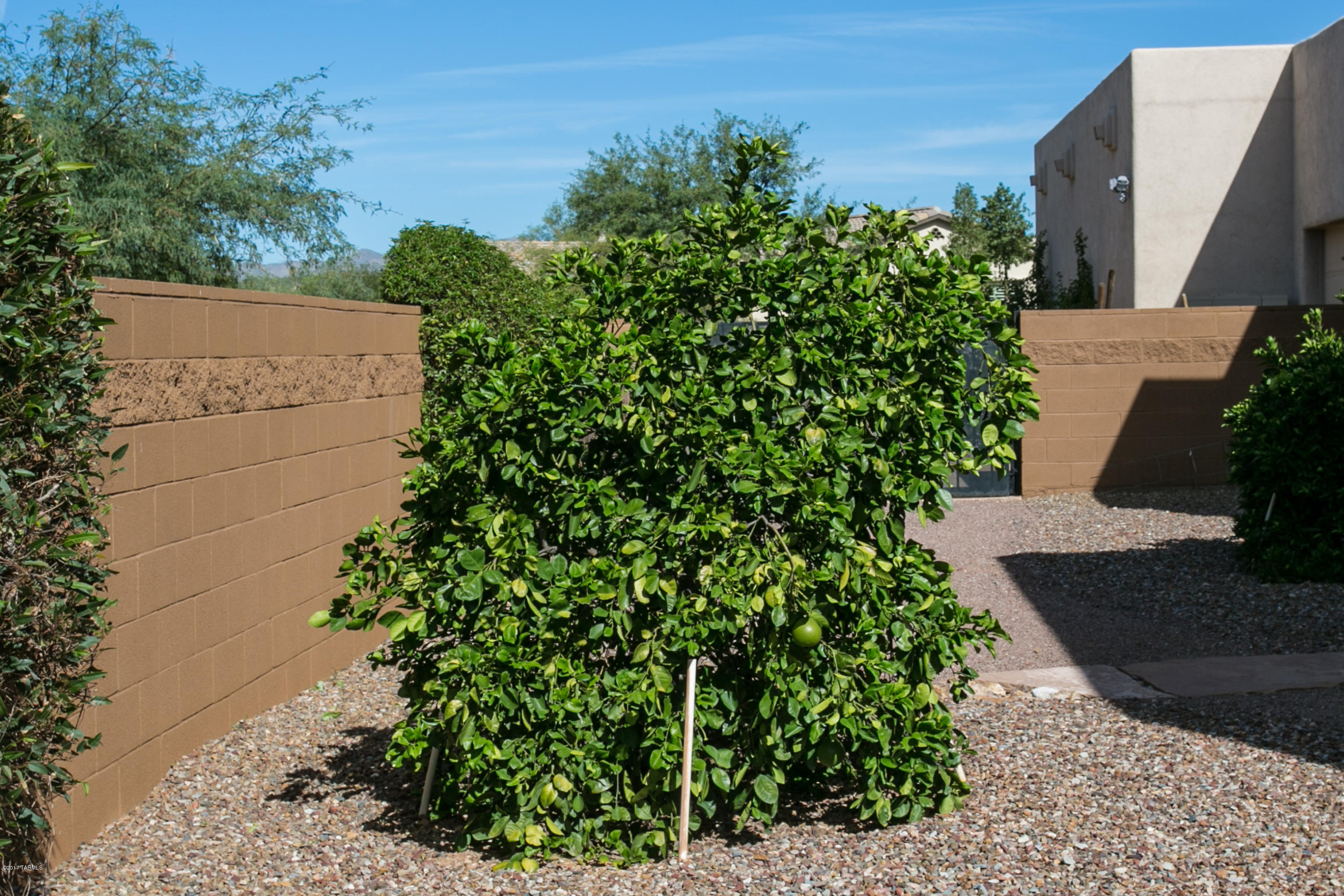 3RD Fairway at Oro Valley Country Club - Residential