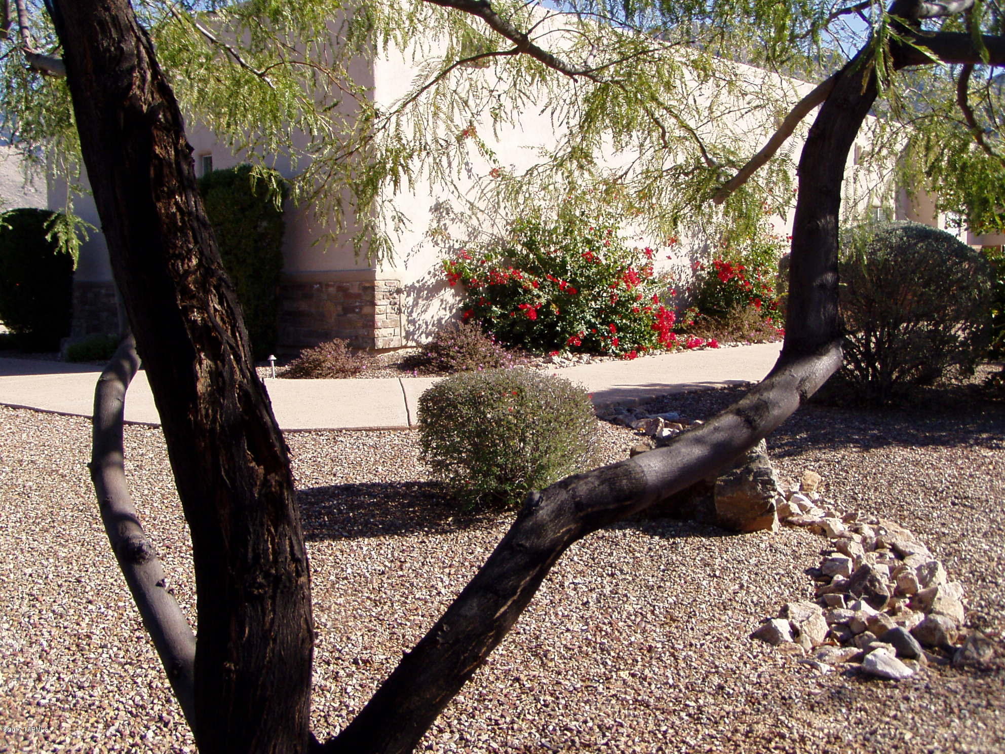 3RD Fairway at Oro Valley Country Club - Residential