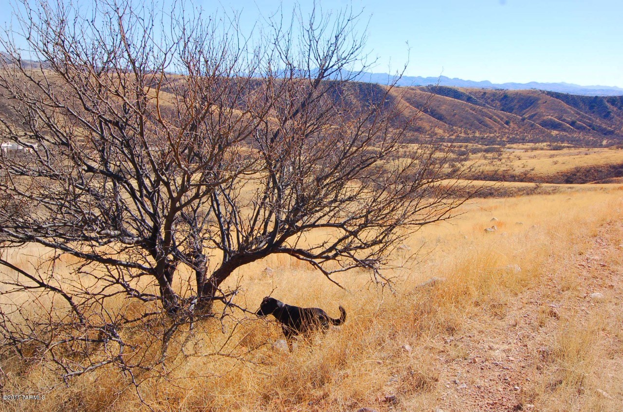 Lake Patagonia Ranch - Land